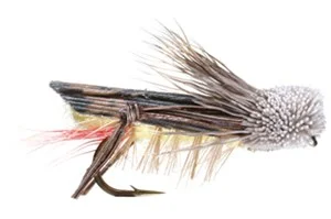 E)Grasshopper Dave's Hopper