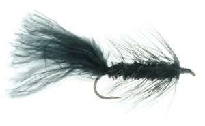 C)Leech Wooly Bugger