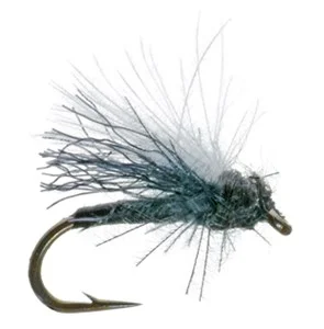 D)Adult Midge CDC Midge Adult
