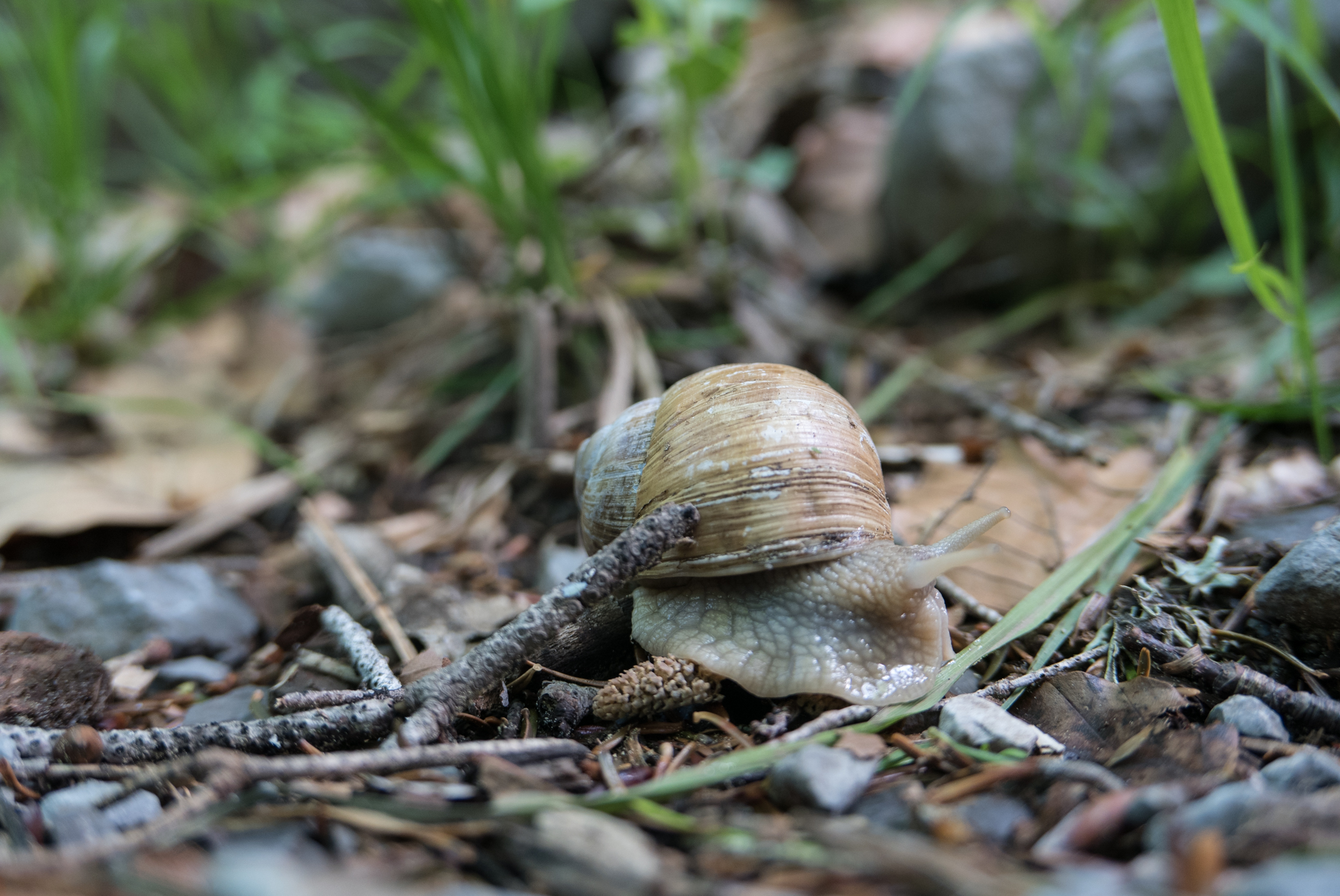 5P1220120.jpg