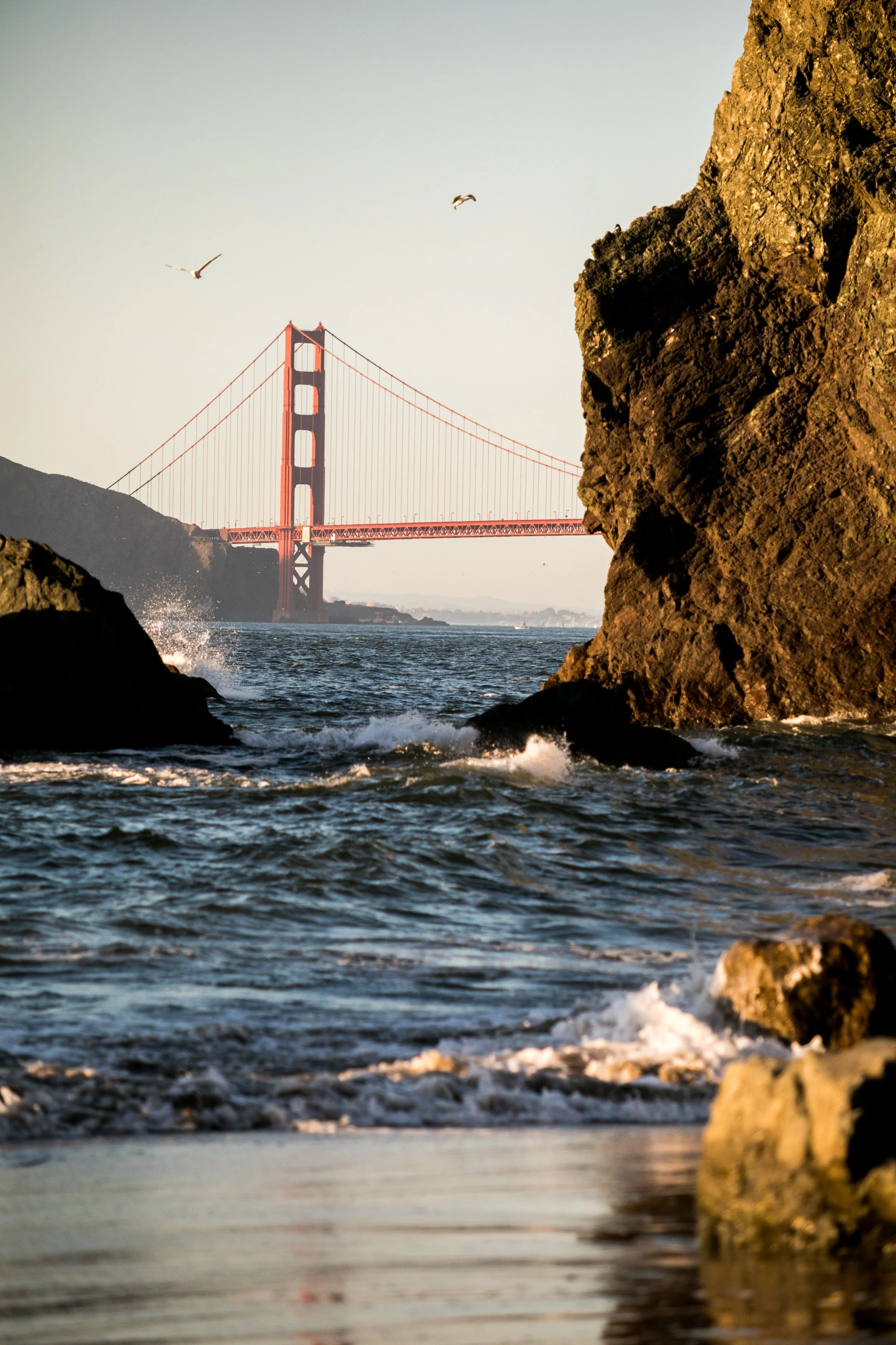 bay area-9037IMGM9037.jpg
