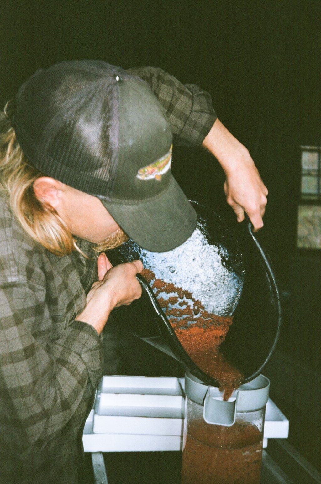 Hatching eggs.jpg