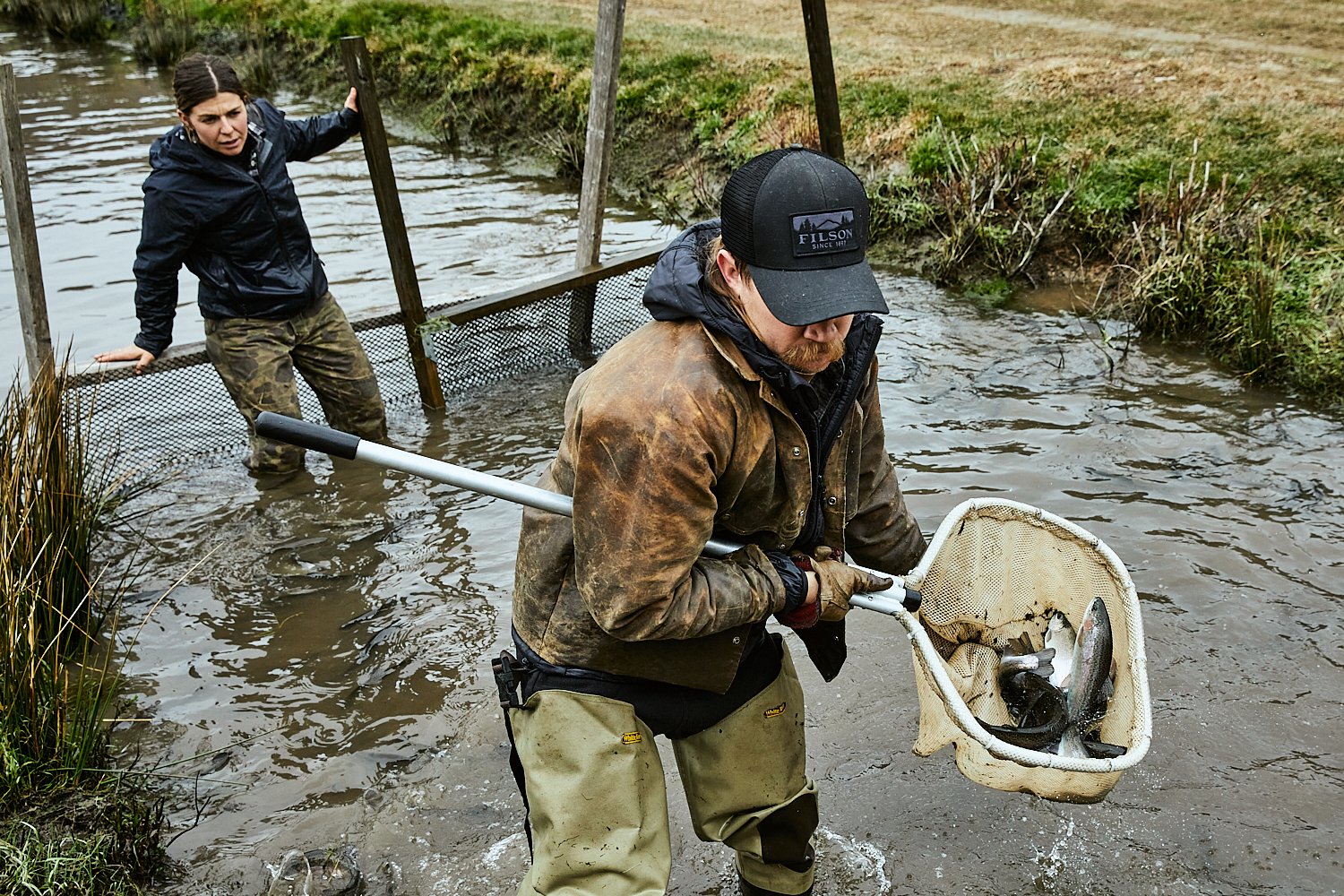 IM_220212_FILSON_HATCHERY_DAY_2_23471.jpg