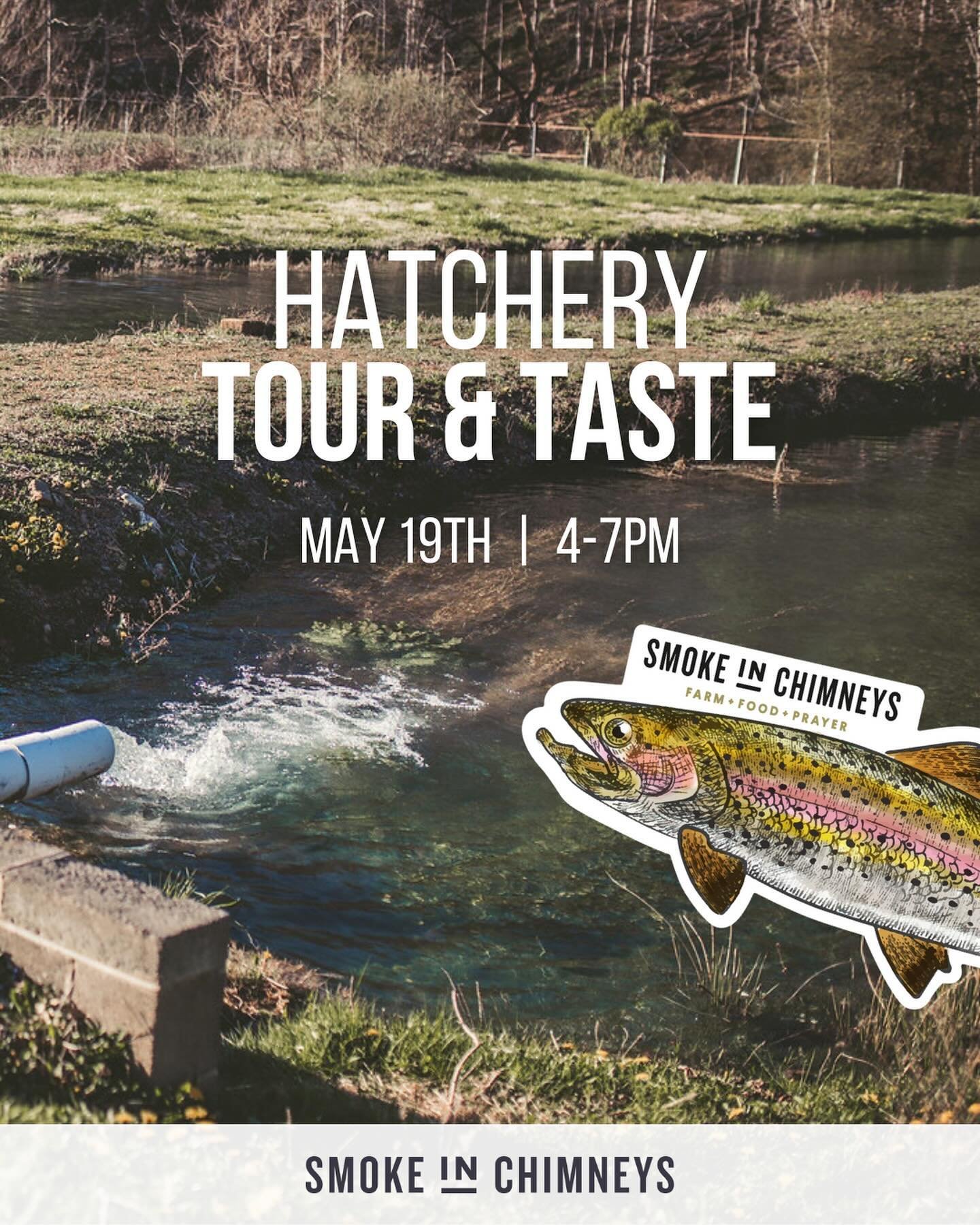 The Hatchery Tour and Taste was born out of our love for inviting people to our home. 🏡🌿

When we first came to New Castle, we hosted a &ldquo;fish fry&rdquo; which was really our grilled trout and everyone brought a side they loved. 🤍

We love to