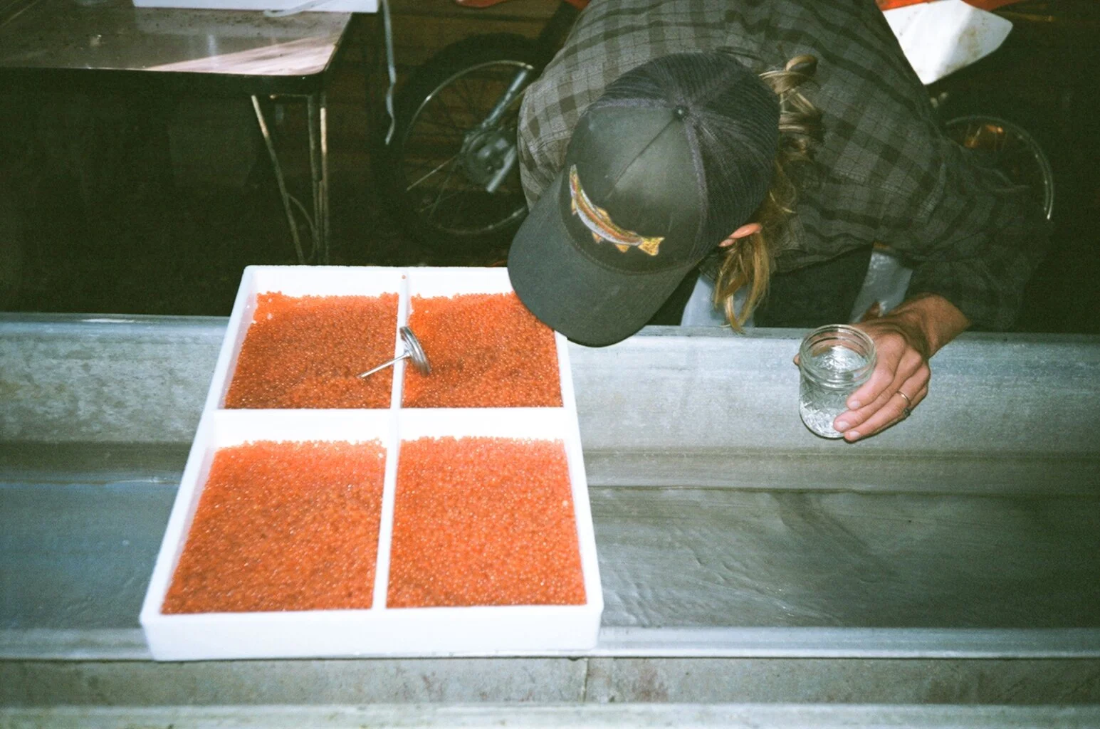 How We Hatch Trout Eggs in Our 1930s Hatchery Building