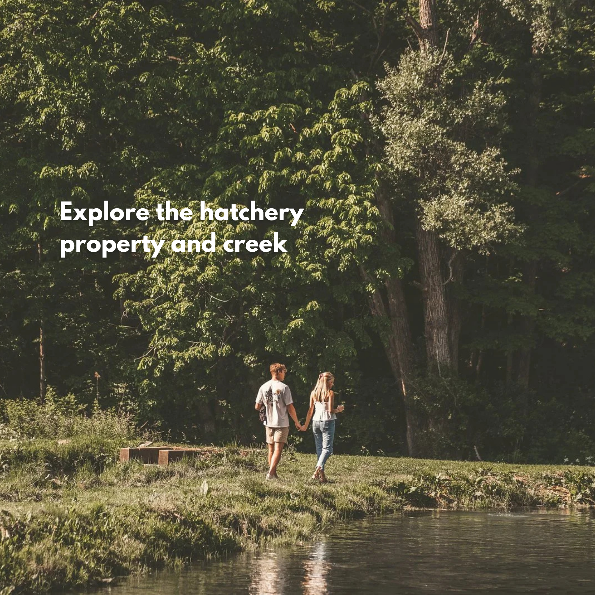 Hatchery Tour & Taste.png