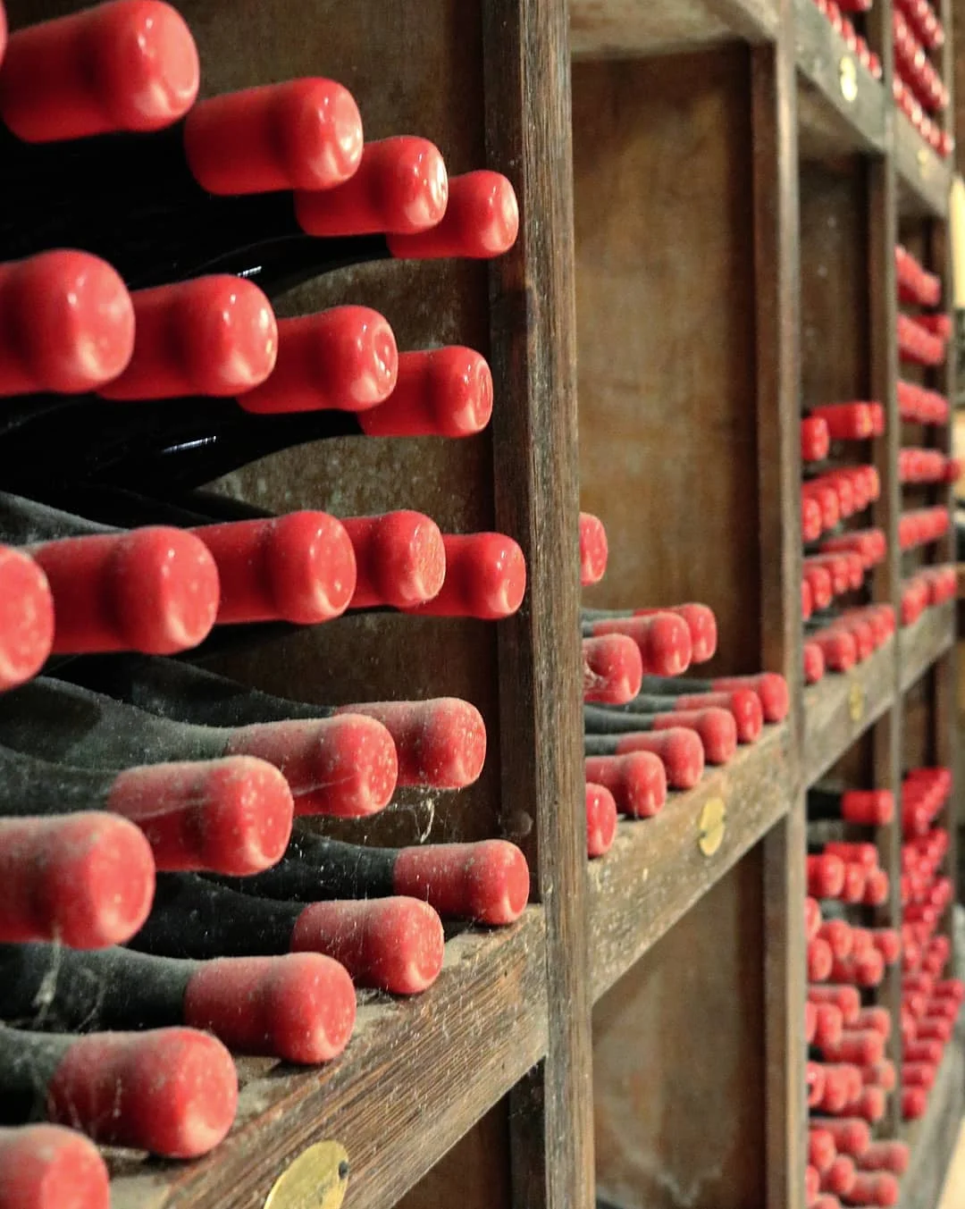 Melville Cellar.jpg