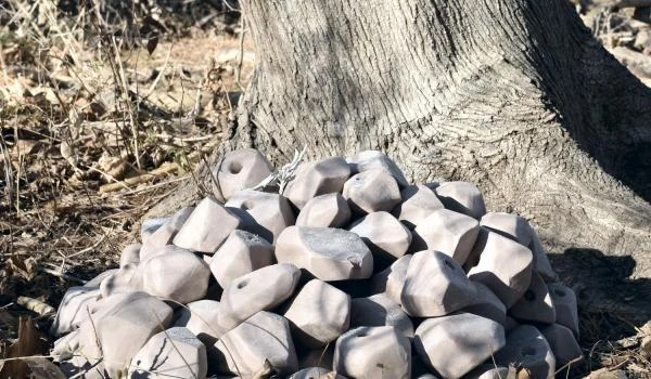 tree.jpg