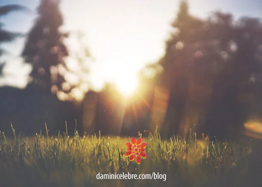 Your new Mantra— Breath Belly Feet