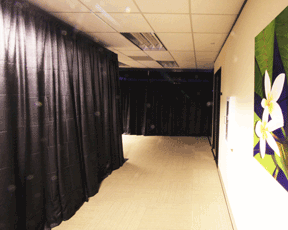 Pipe and Drape.png