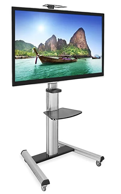 tv+with+stand.jpg