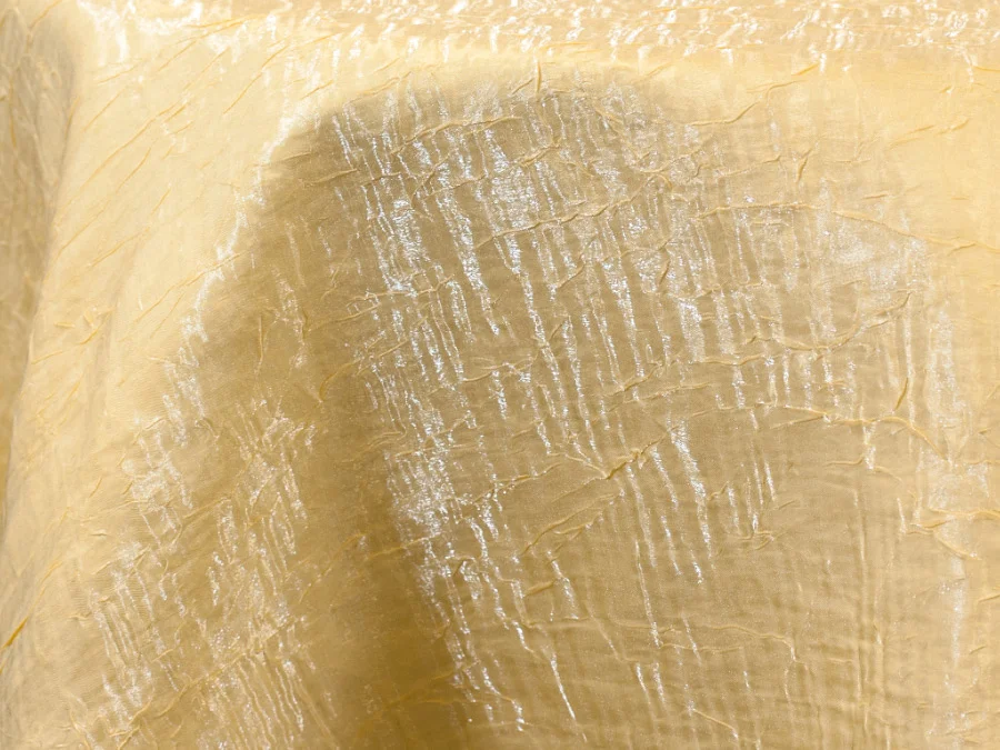 Maize