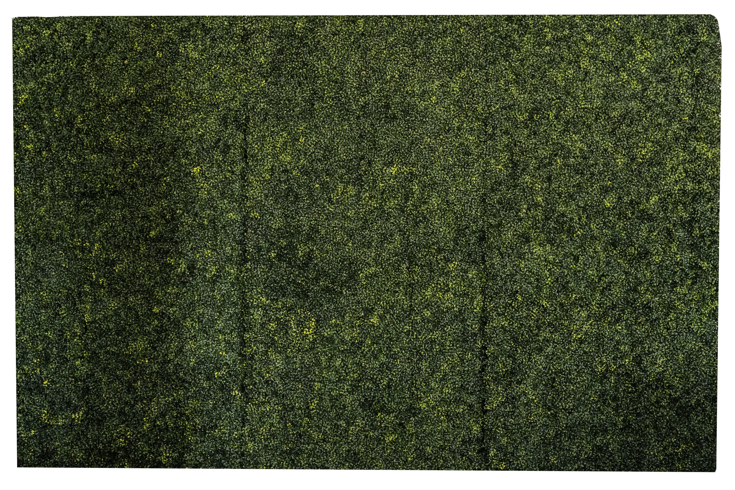 green vine wall front.jpg
