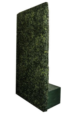 vine+wall+side+view.jpg