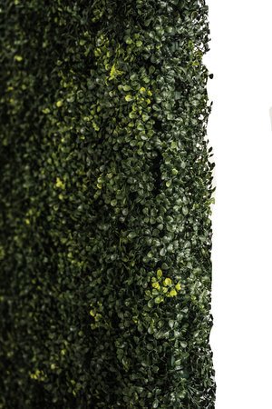 vine+wall+detail.jpg