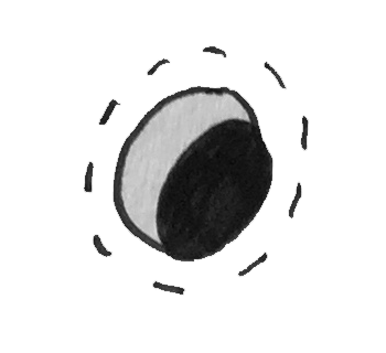 bigyinyang.png