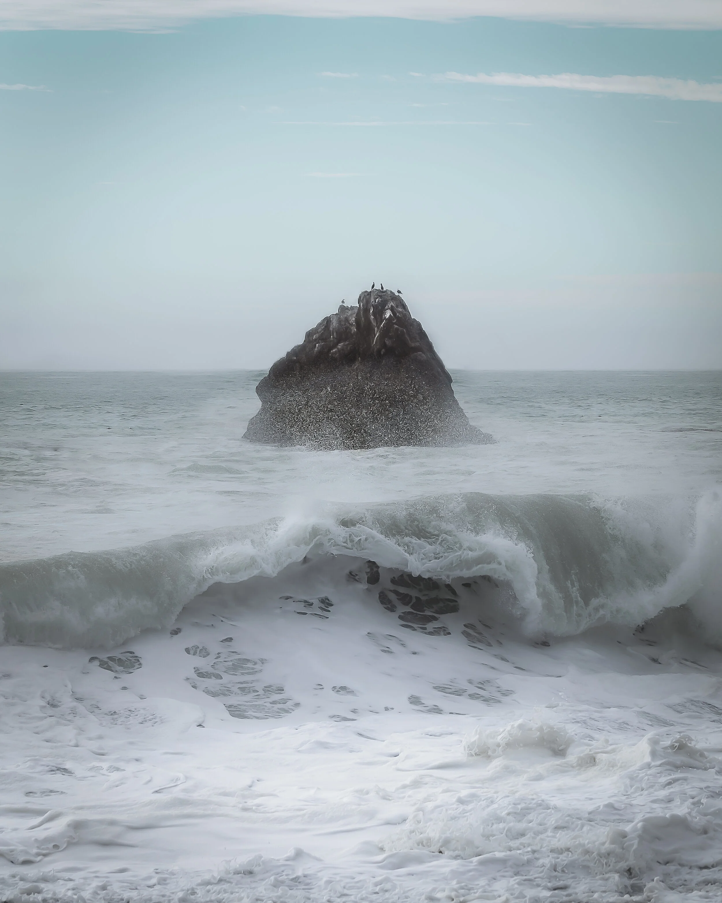 bird rock copy.jpg