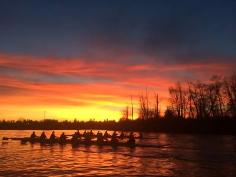 10501785_823550111052344_7429276300774823172_n.jpg