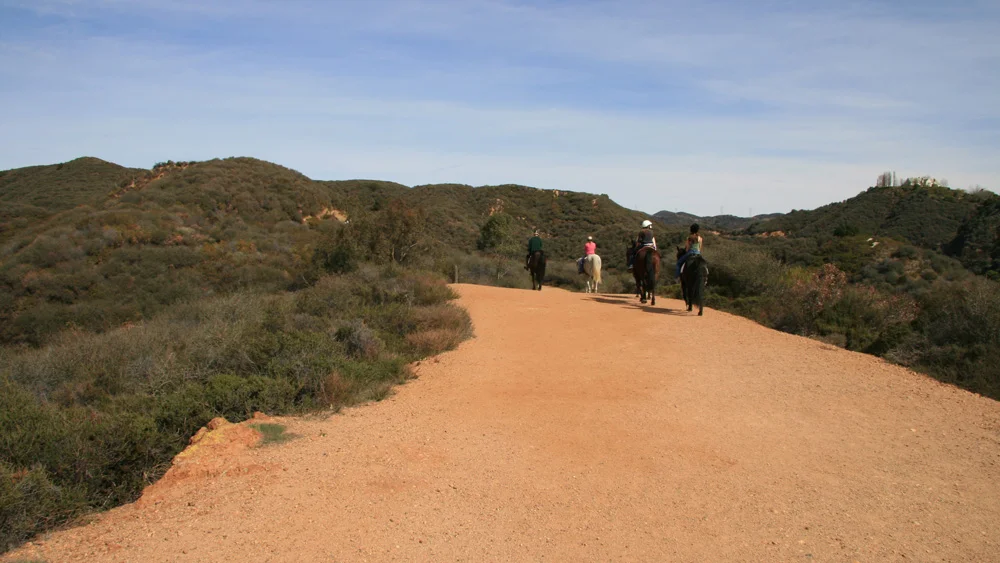 trail-1.jpg