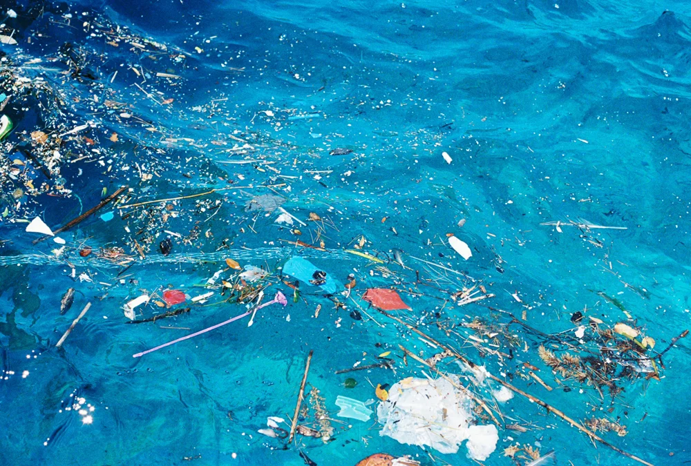  Microplastics 2014 Corfu 