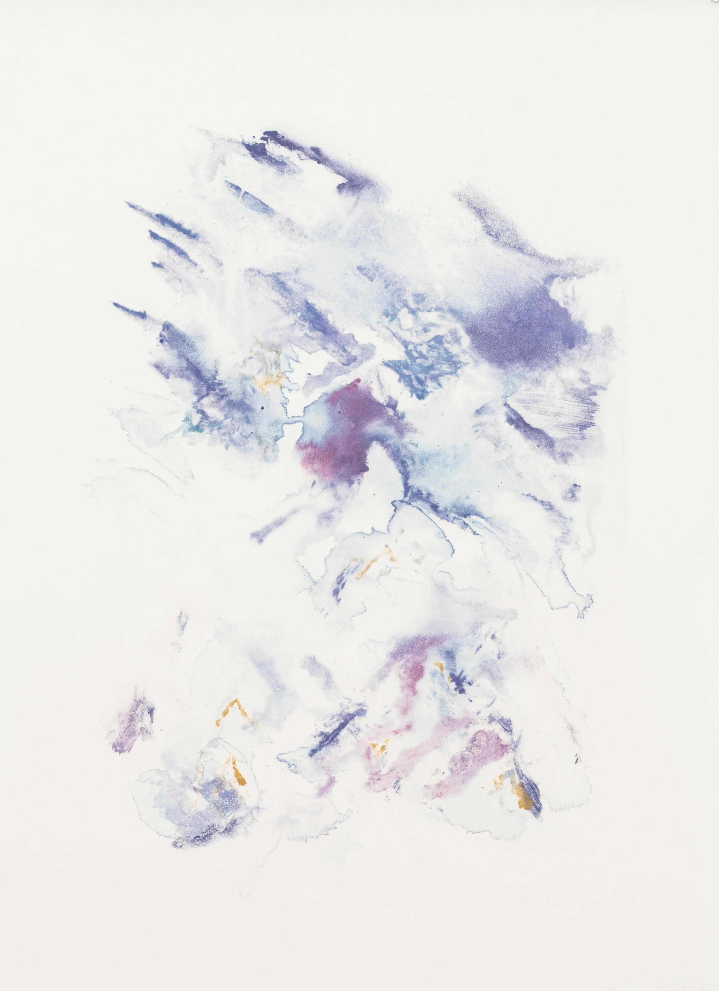   oscuridad 3, 20x 26 in Silk Aquatint Monoprint 2019  