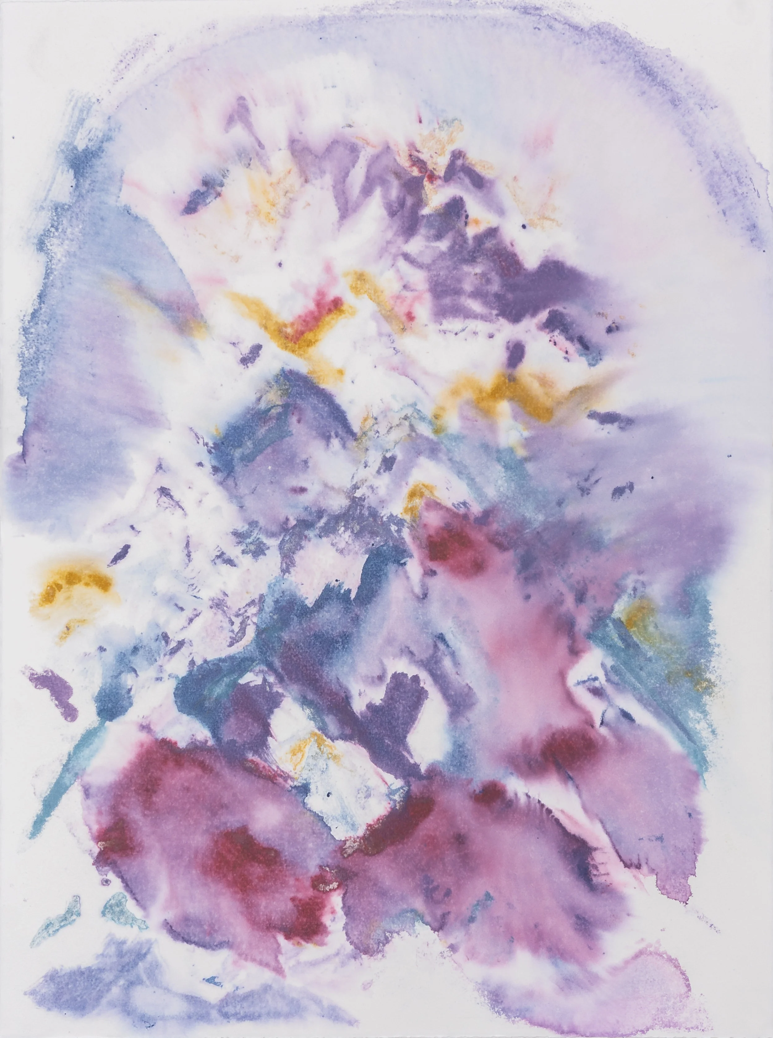   visiones(al despertar)  22x 30 in&nbsp;silk aquatint mono print 2019 