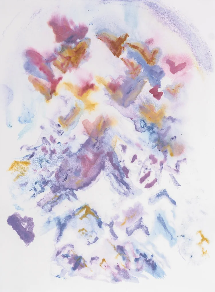  Visiones 22 x 30in  silk aquatint monoprint with earth pigment 2019 