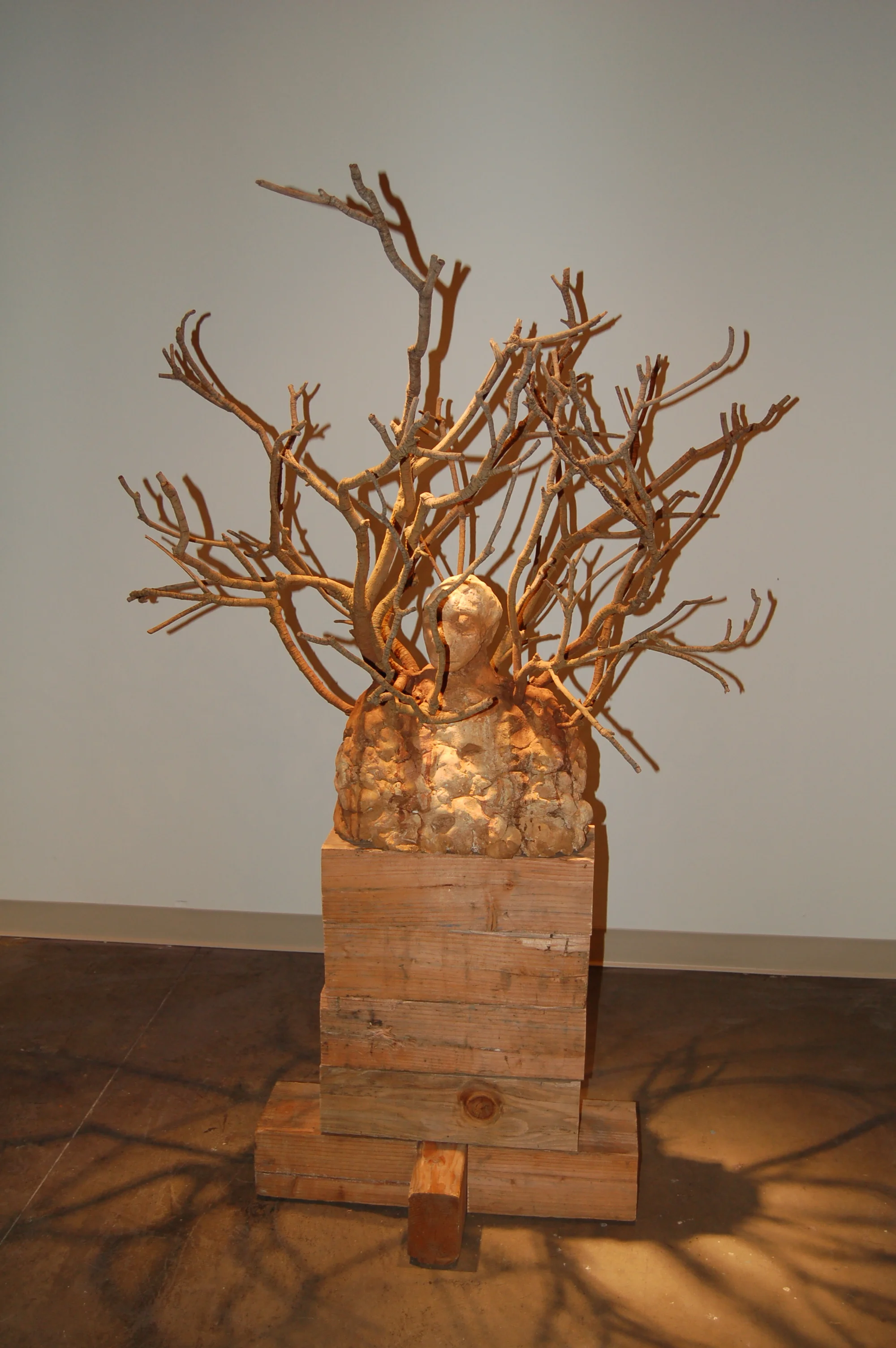 Loquat dreams of dark metallic seeds 2006-2007 Ceramic with loquat branches 73 x 46 x 25 A few shorts weeks each April, the loquat trees were a special place for a child to hide in and enjoy the sweet, sticky fruit with large dark seeds.
