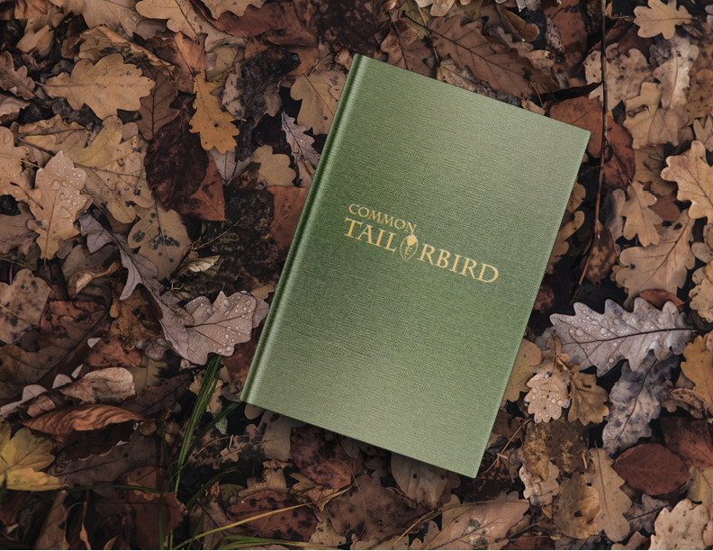 Common Tailorbird Part 1