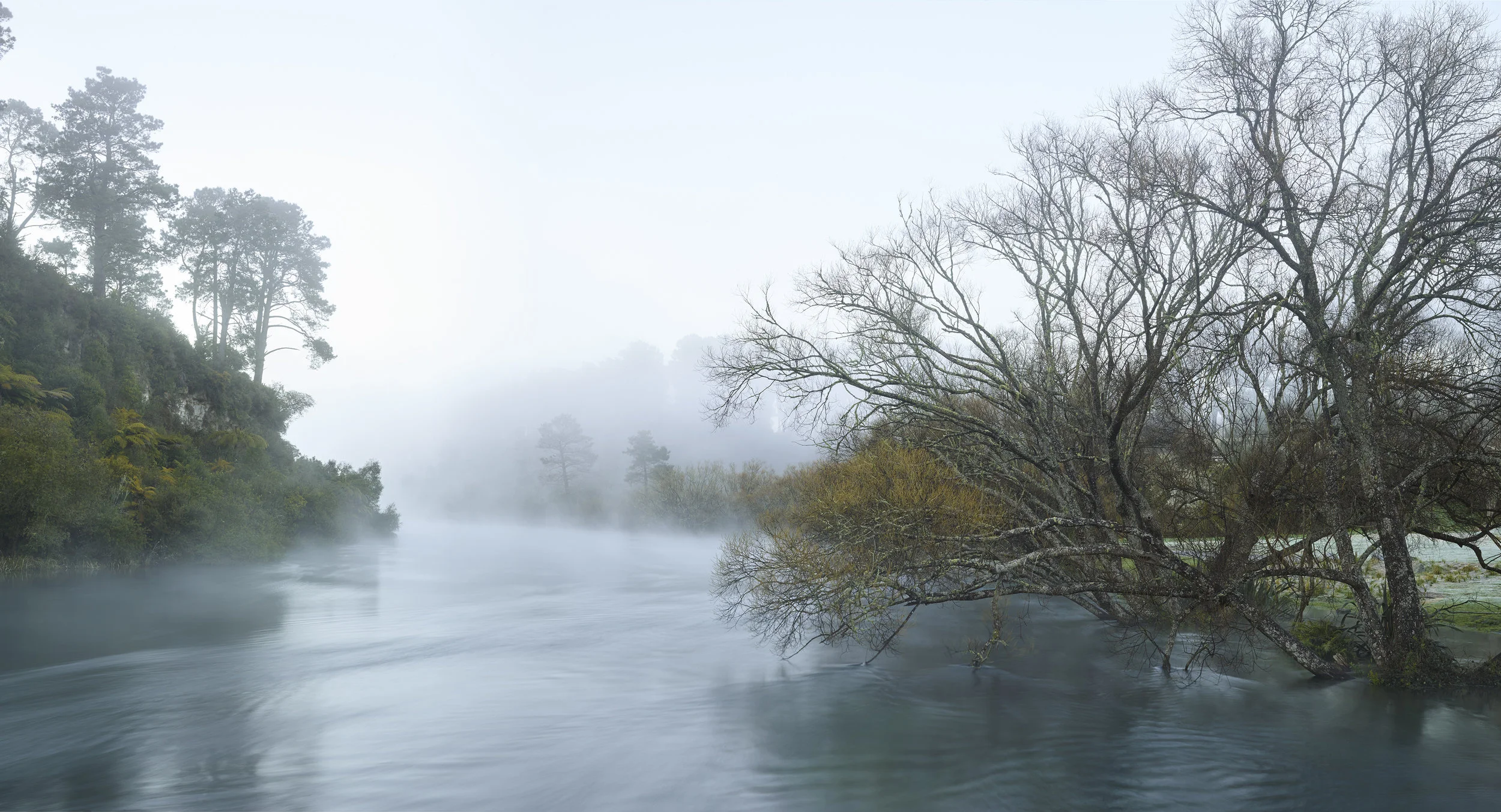 Waikato_003 1.jpg