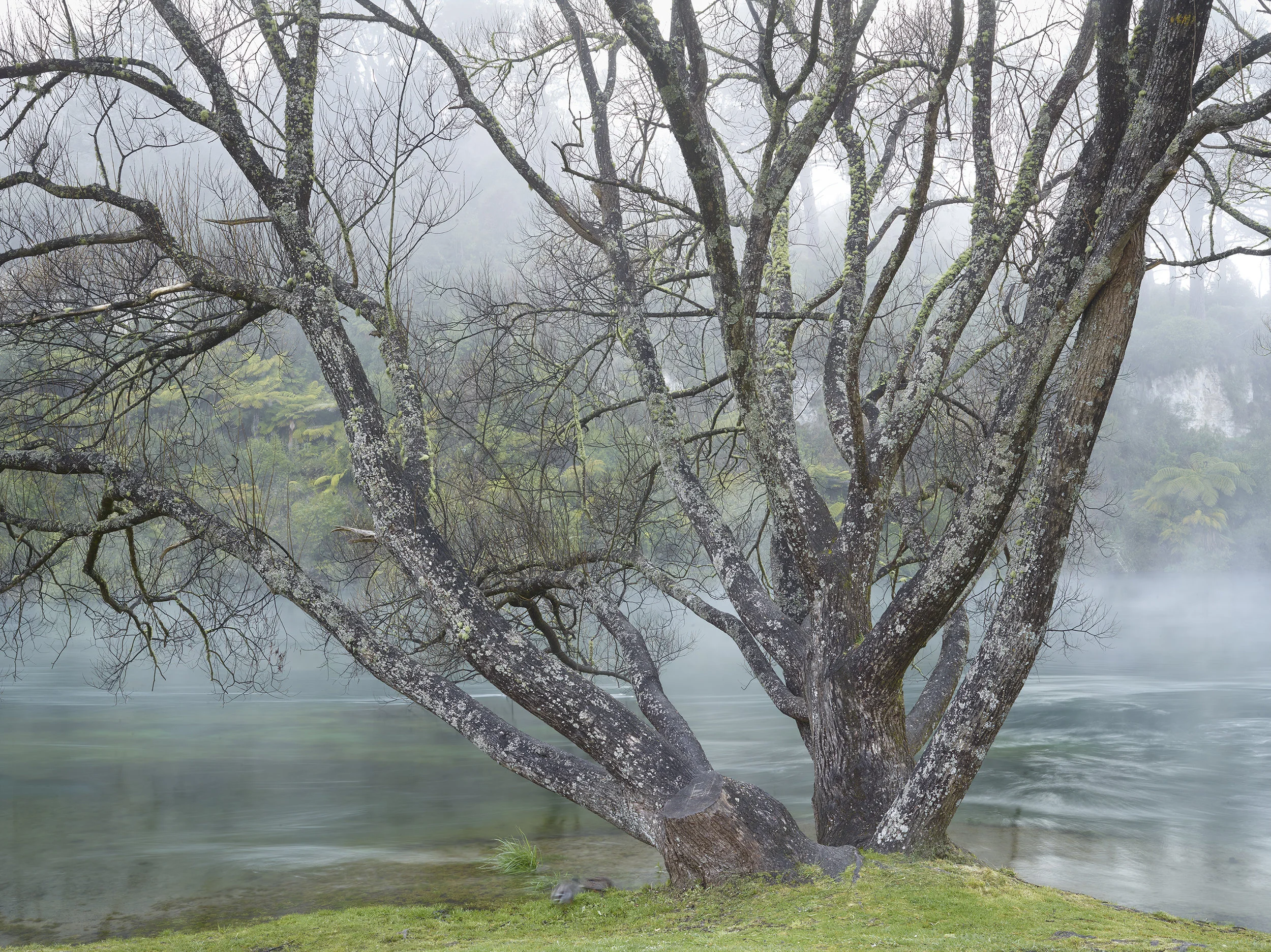 Waikato_009.jpg