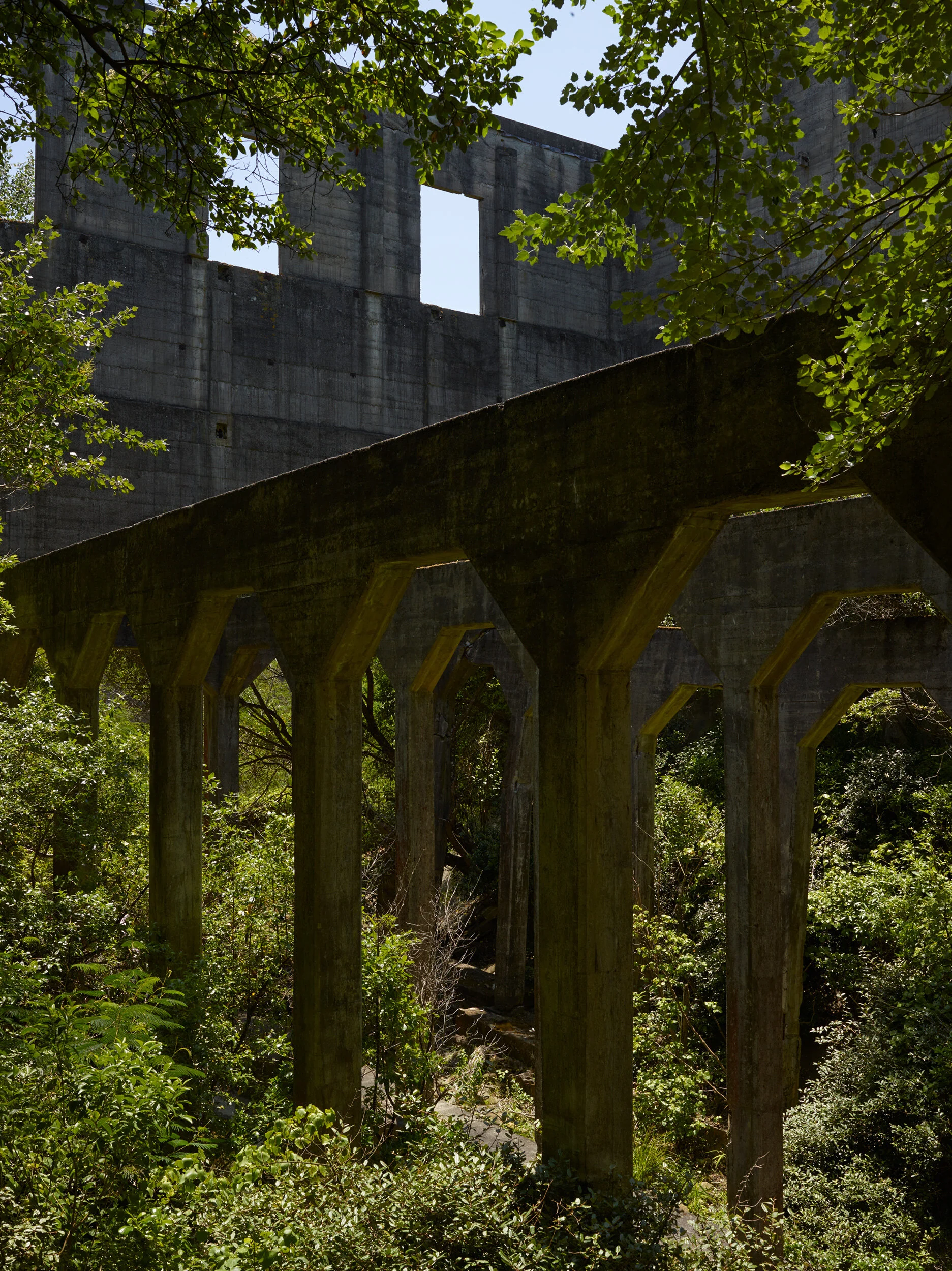174_east-cape_043.jpg