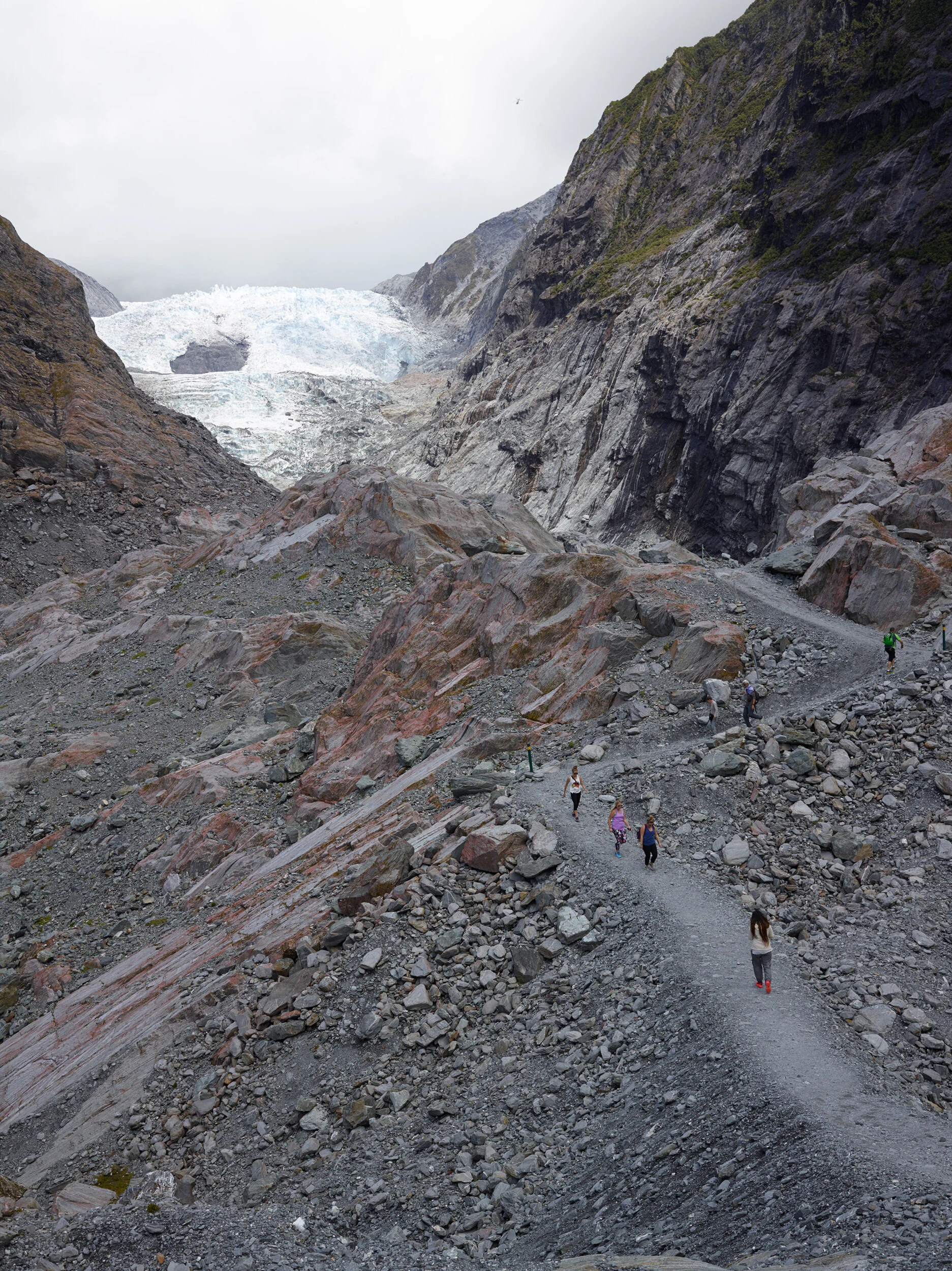 141_Fox_Glacier_011-new.jpg