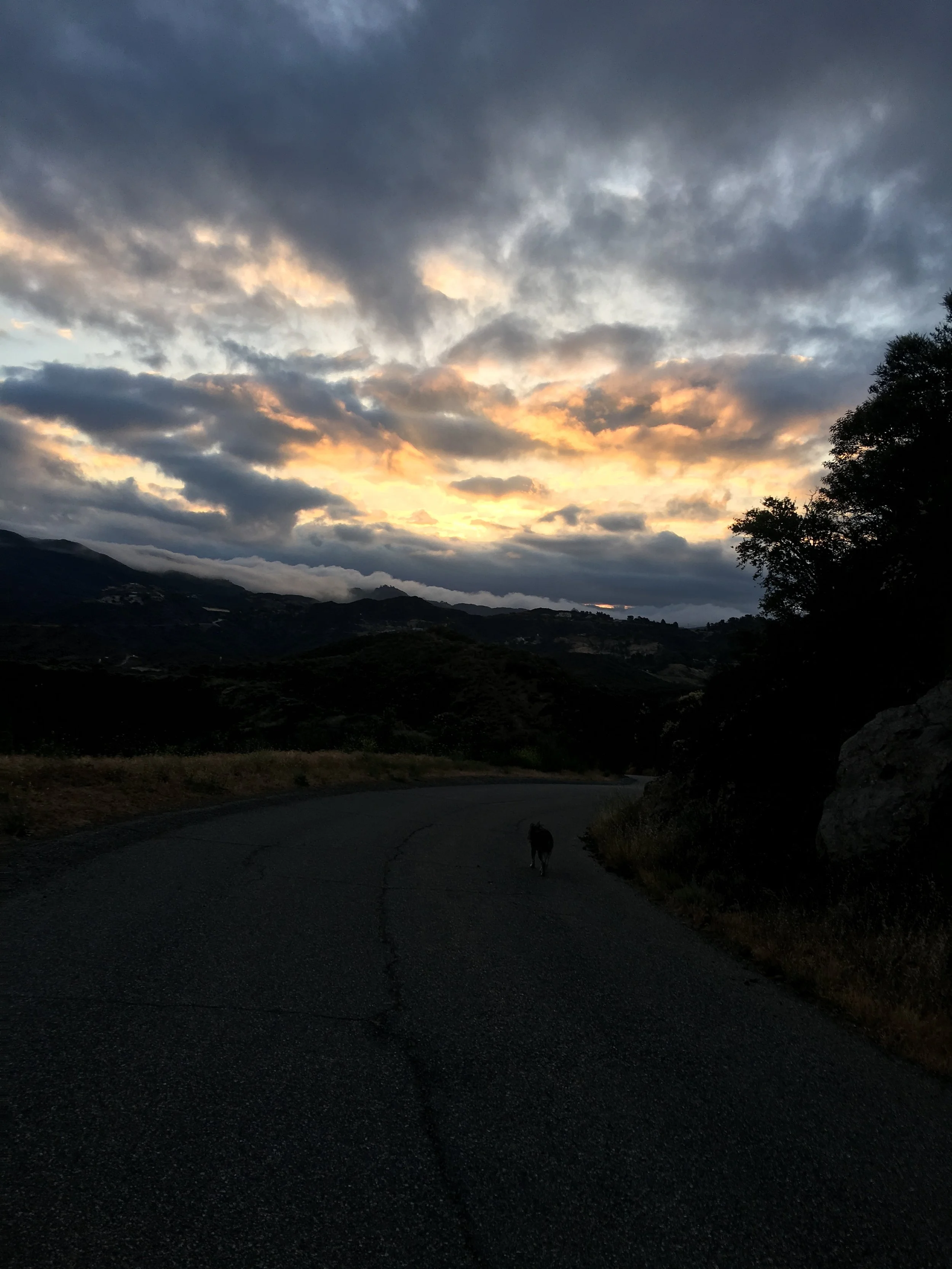 Sunrise on the Farm in Day 3