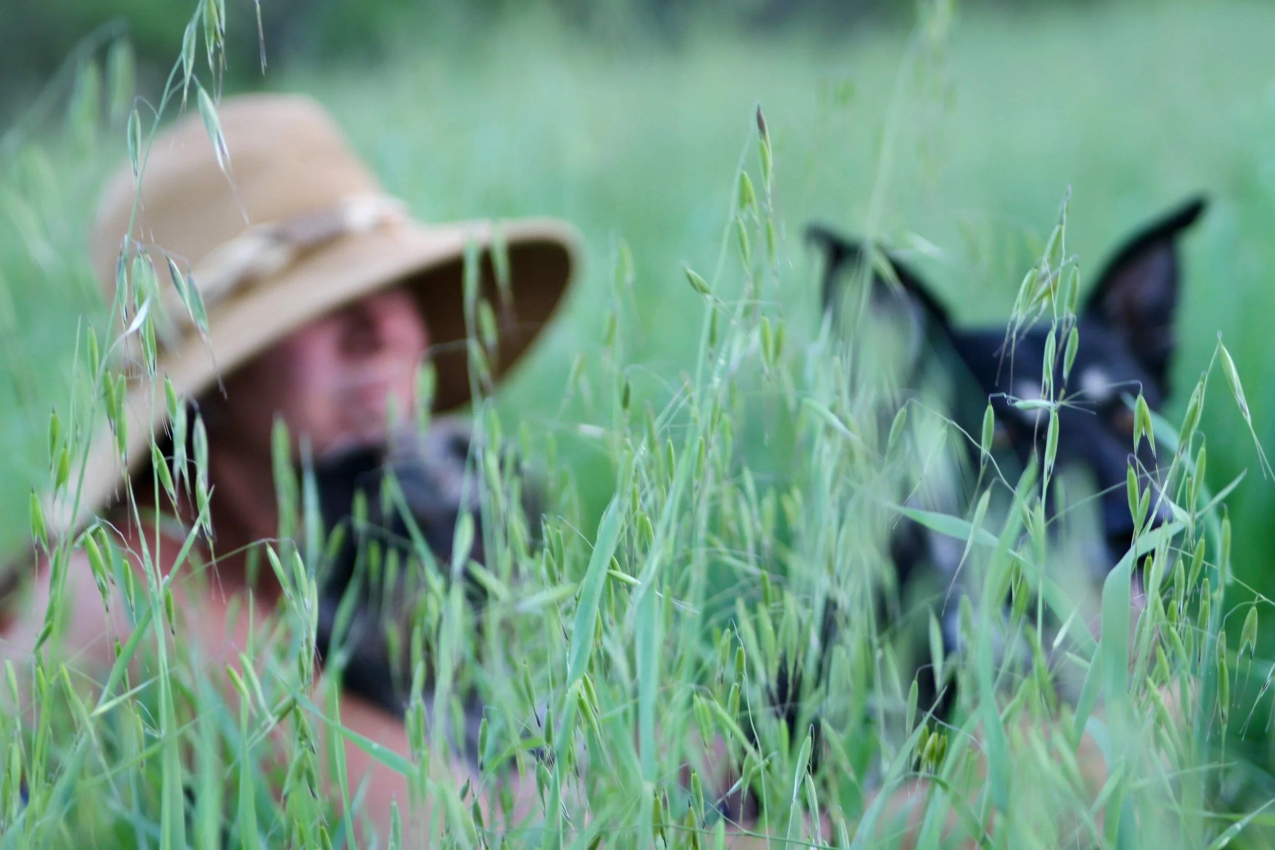 Payment Plan Urban Detox Retreat 101