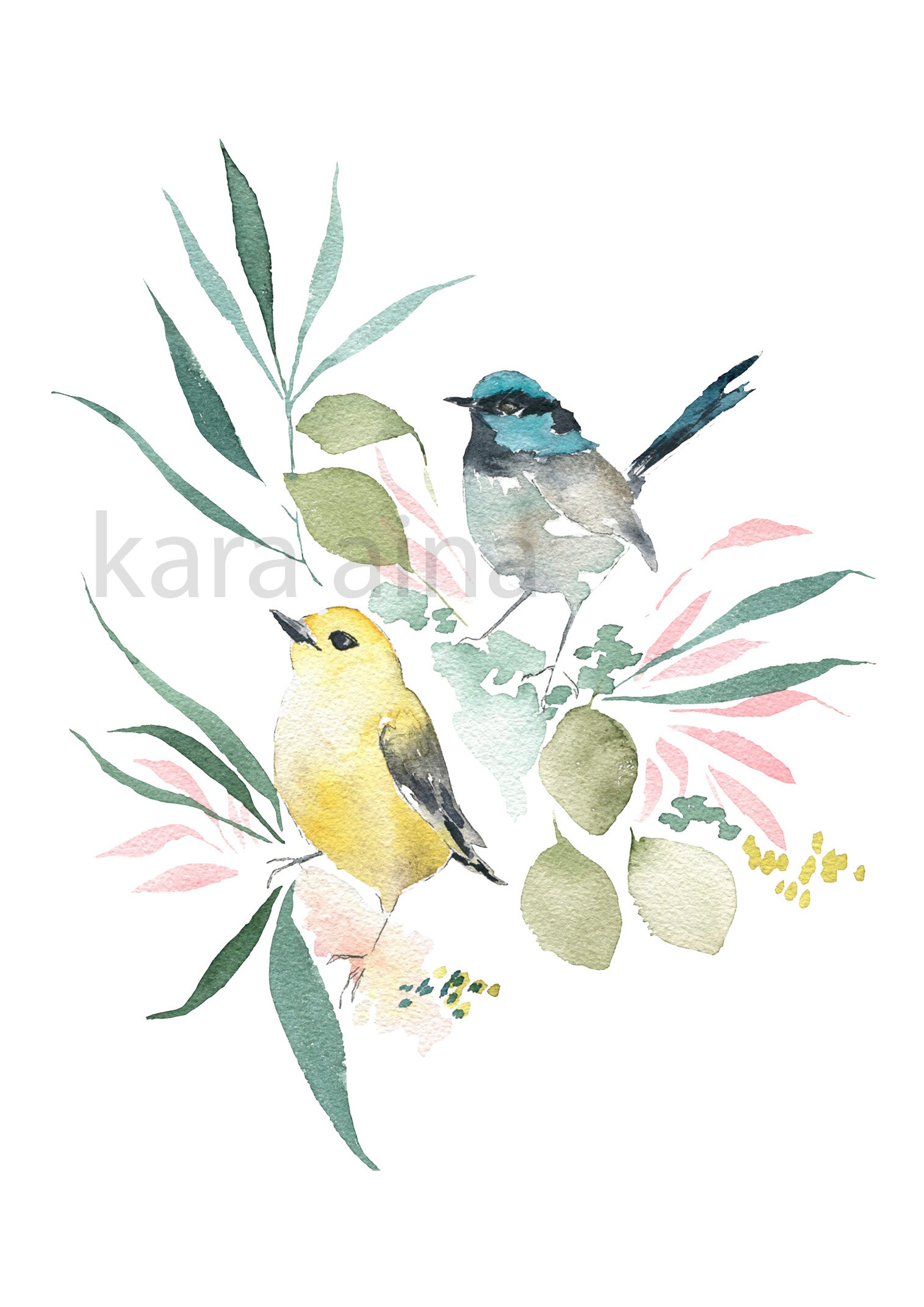 Wren &amp; Warbler  - Fine Art Print