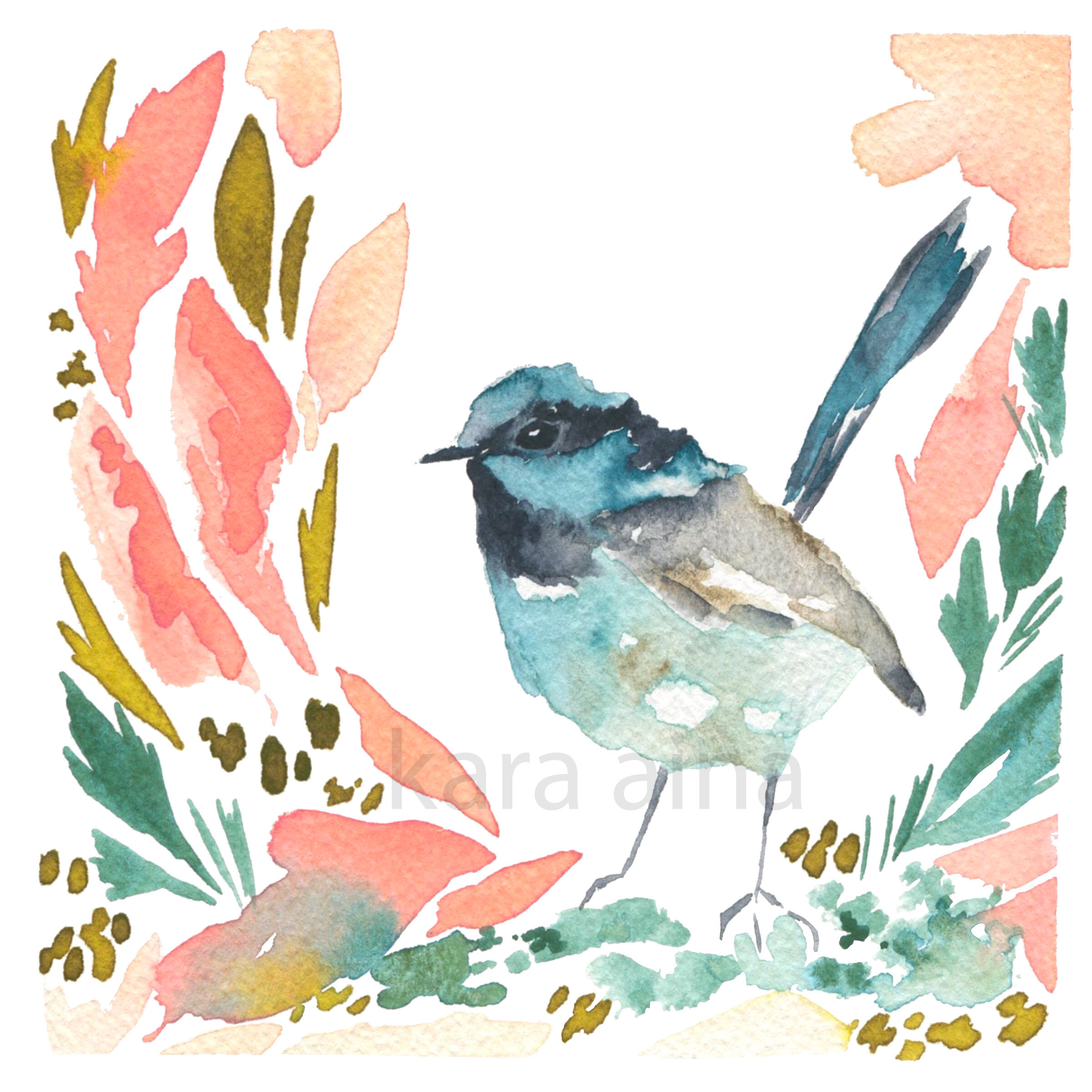 Fairy Wren Fine Art Print