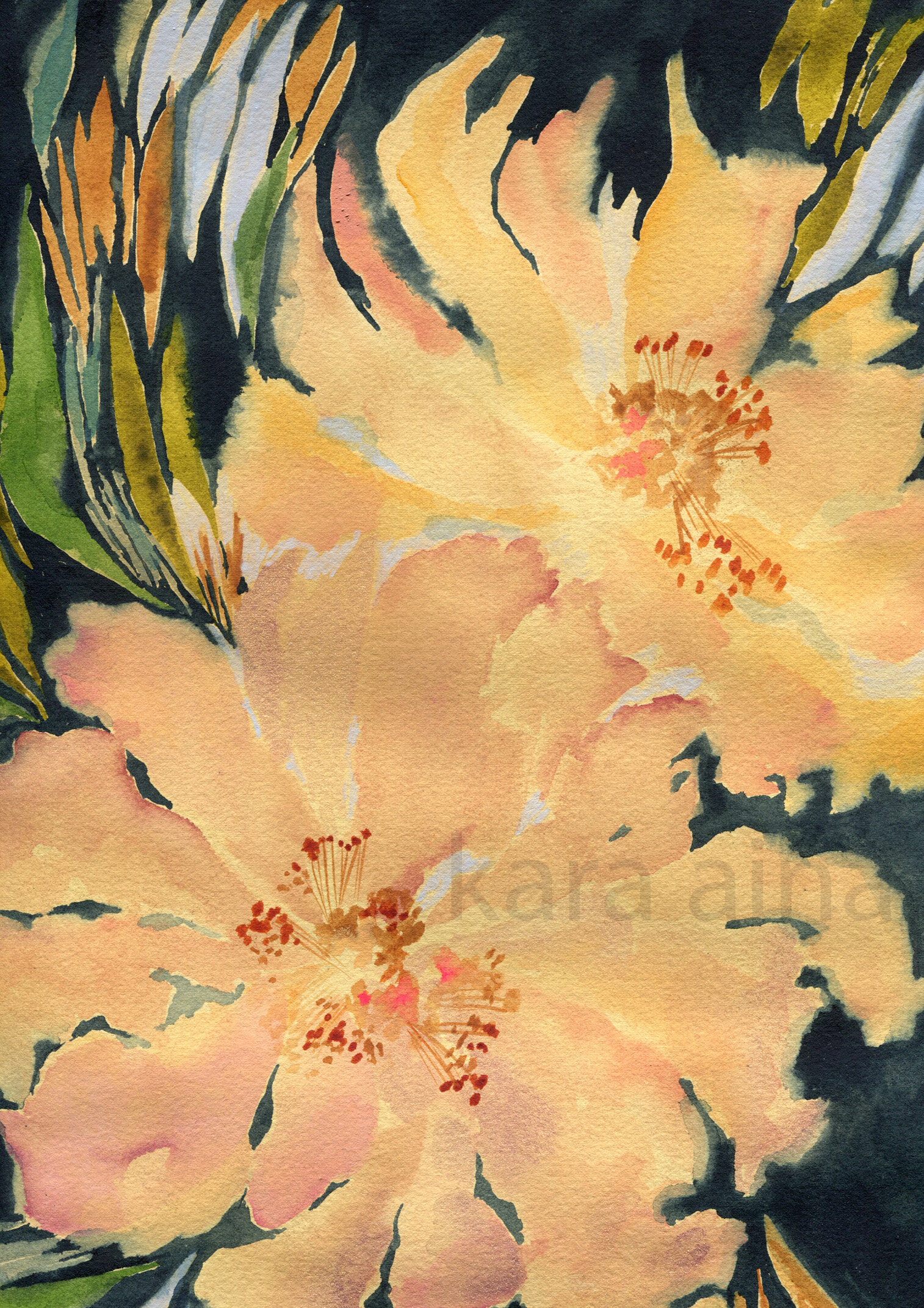 Midnight Blush Blooms Fine Art Print