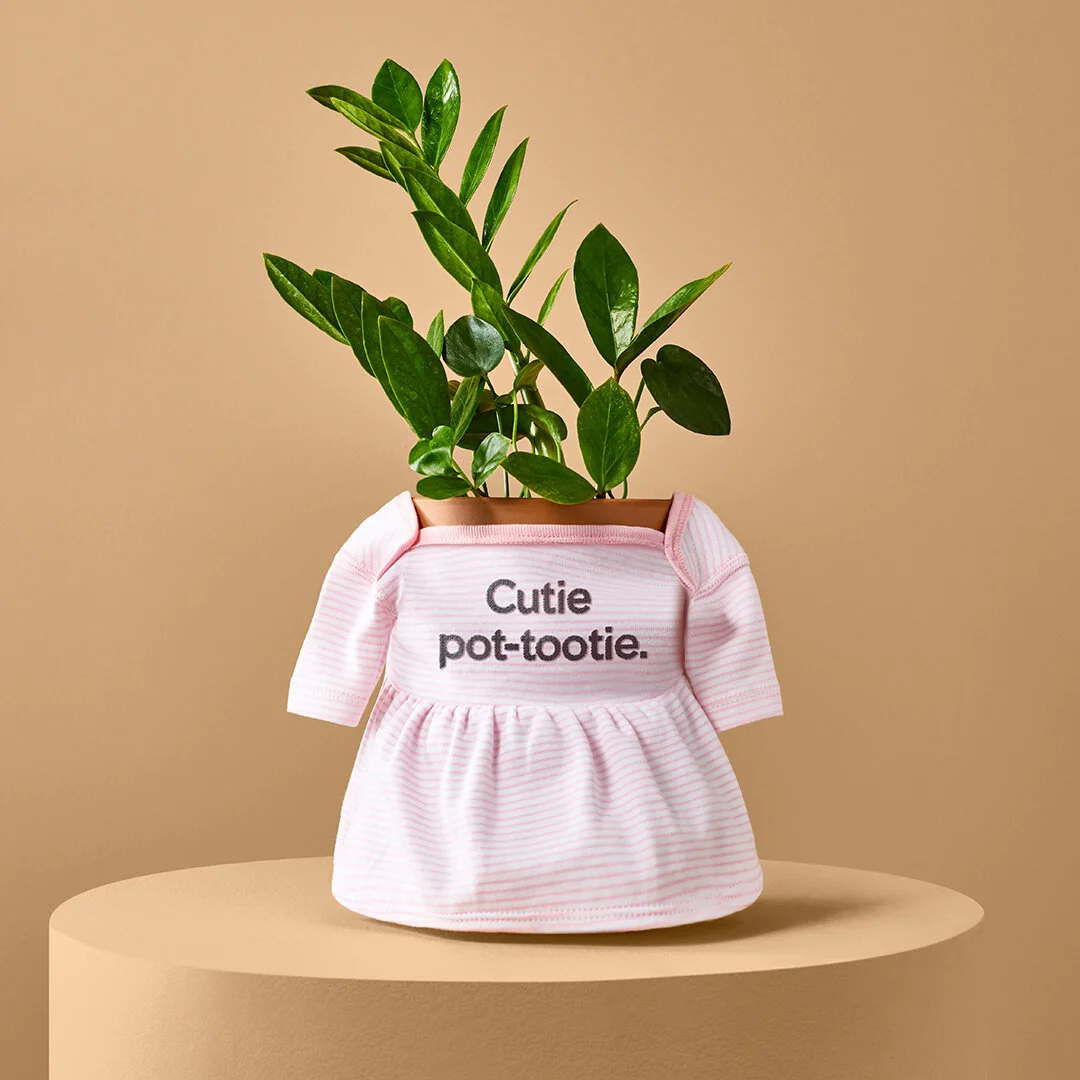 Scotts Miracle Gro Poty Covers - Tile 7.jpg