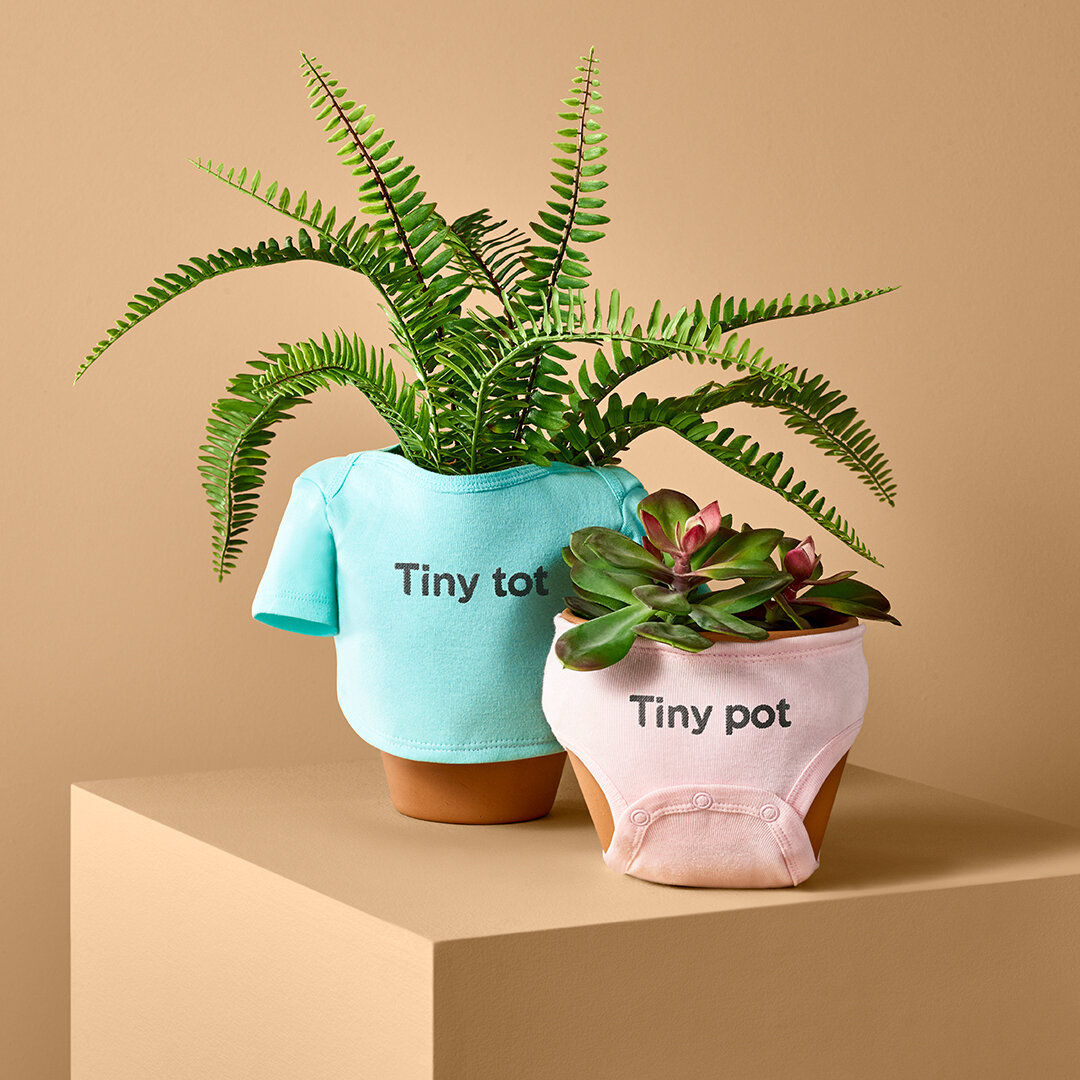 Scotts Miracle Gro Poty Covers - Tile 3.jpg