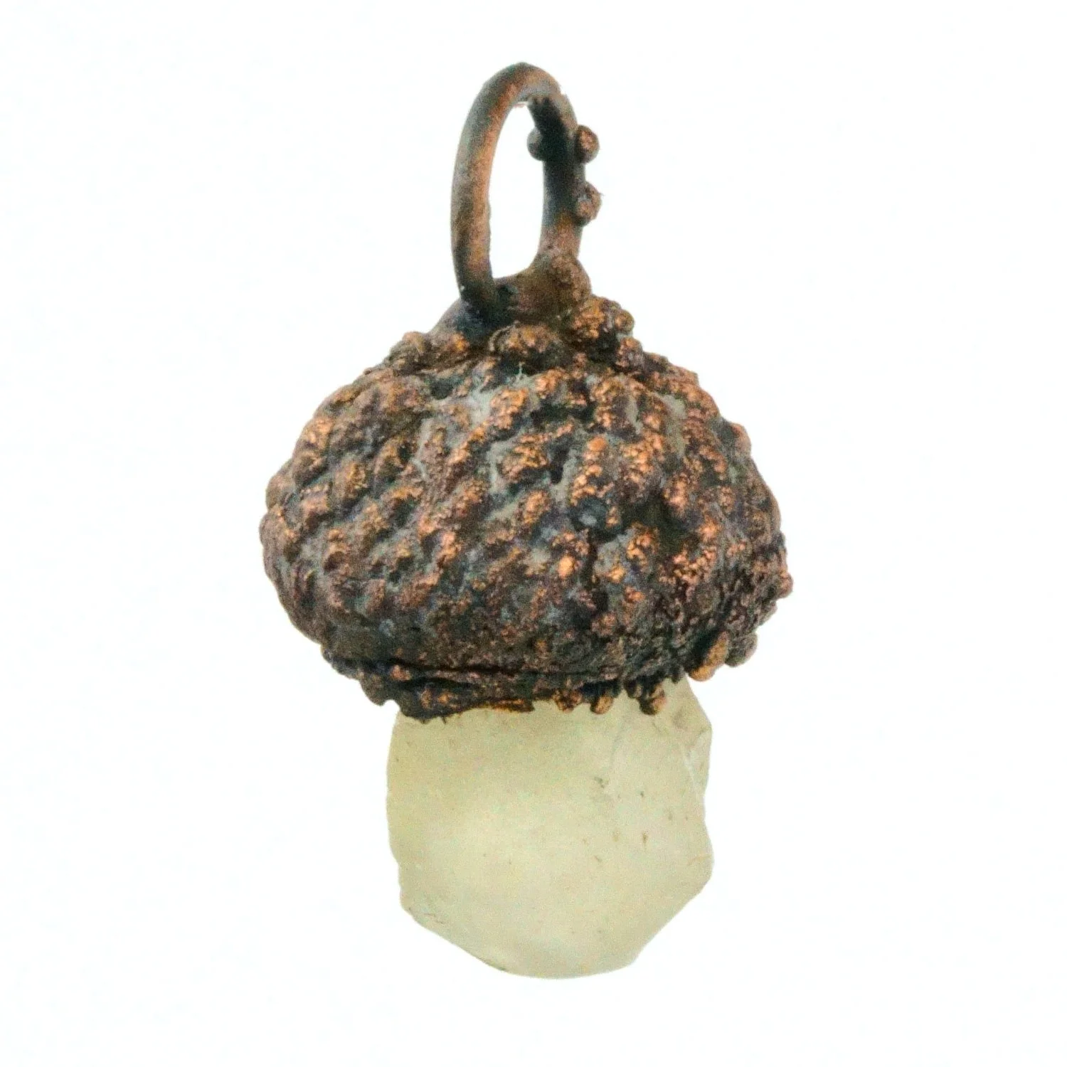 Libyan Desert Acorn back angle 2.jpg
