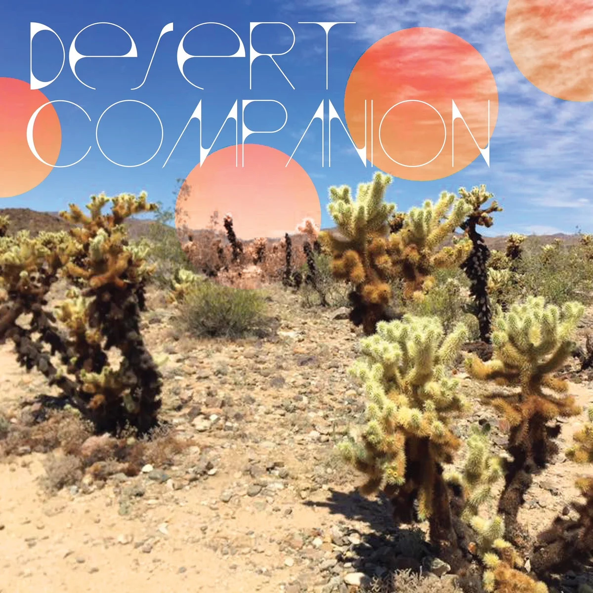 Desert Companion | Desert Companion