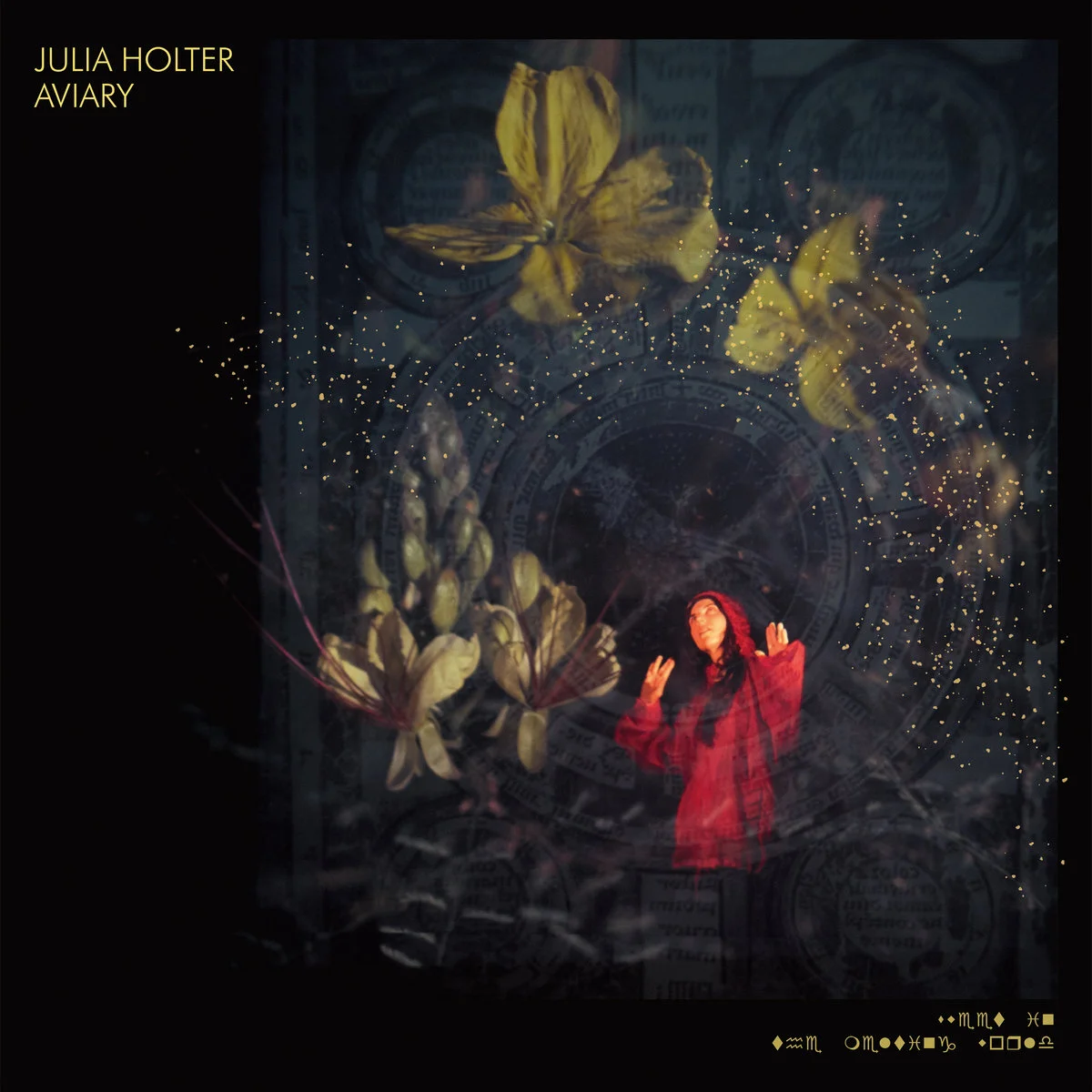 Julia Holter | Aviary
