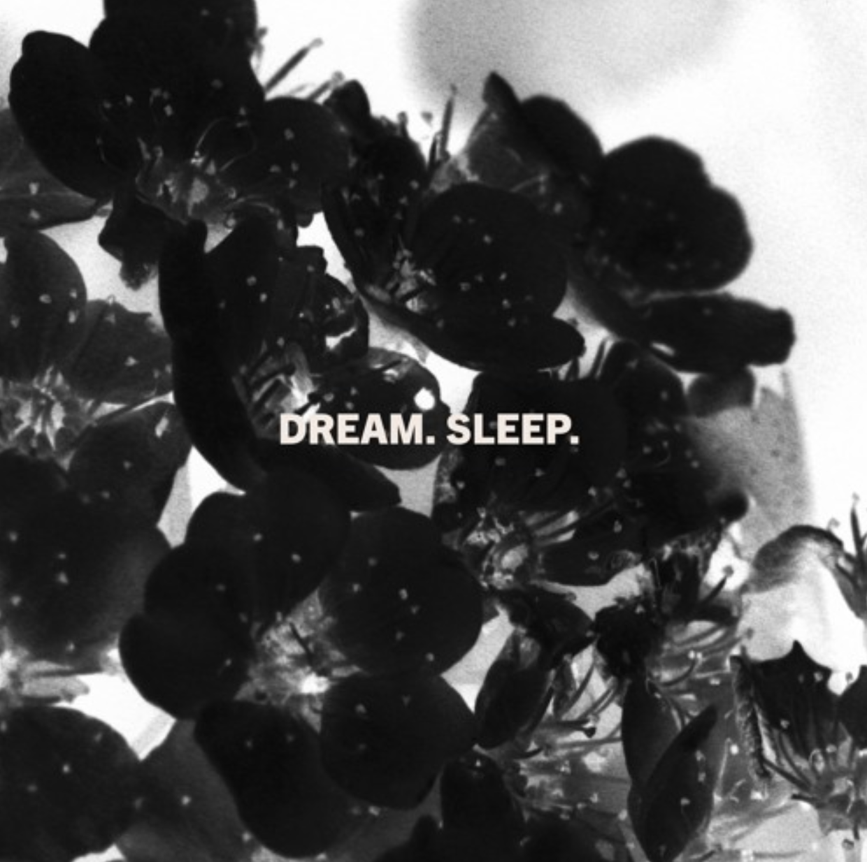 Laveda | Dream. Sleep. (single)