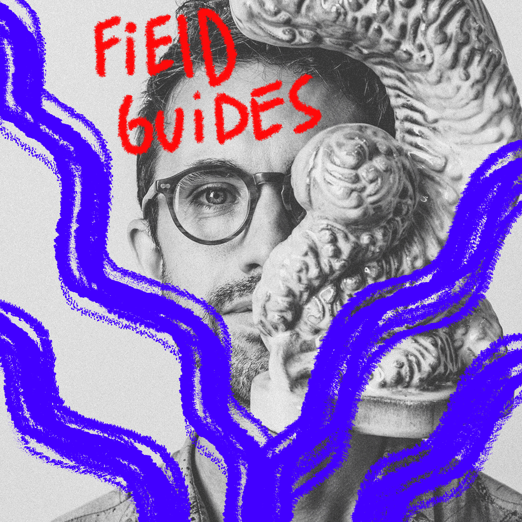 Field Guides
