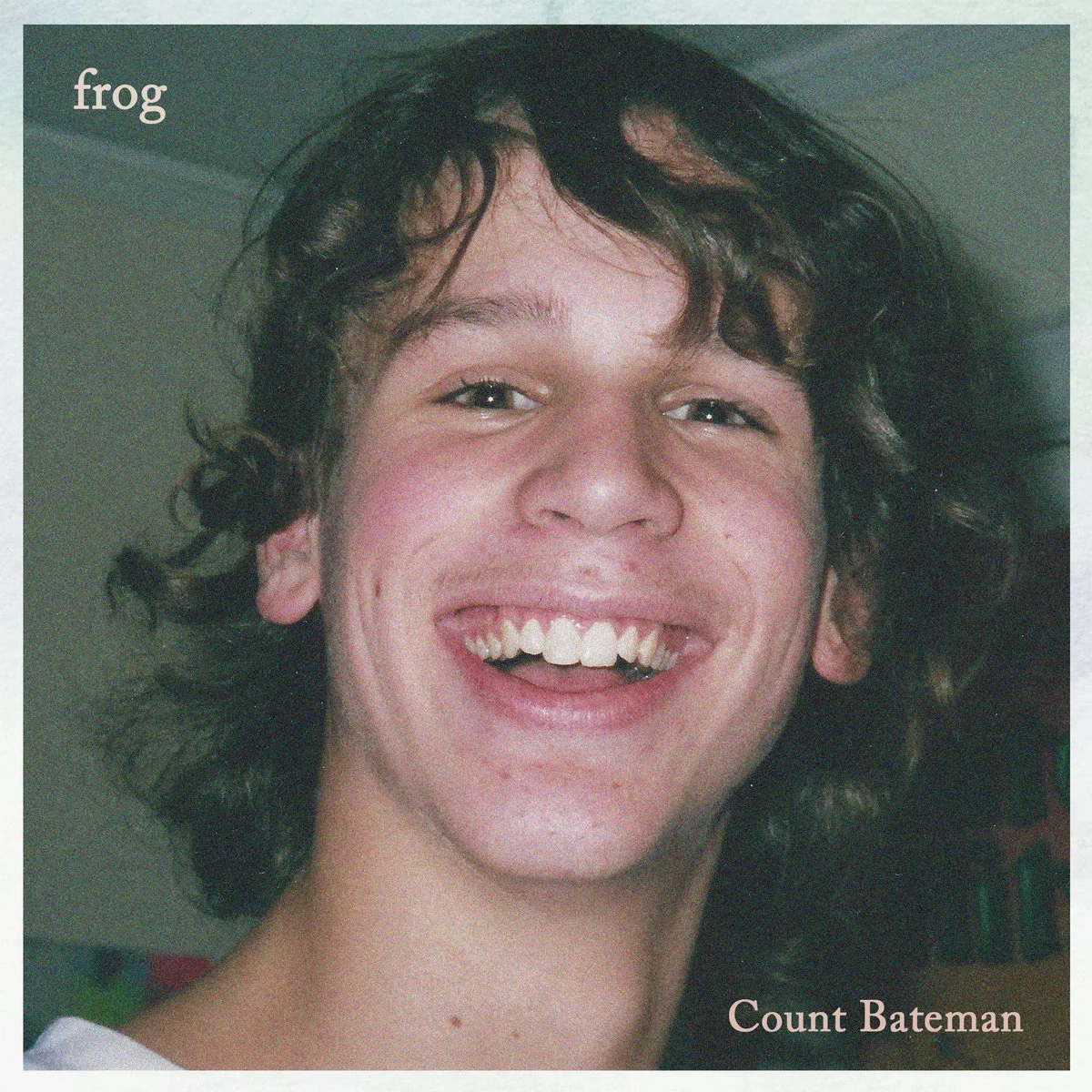 Frog | Black Friday 