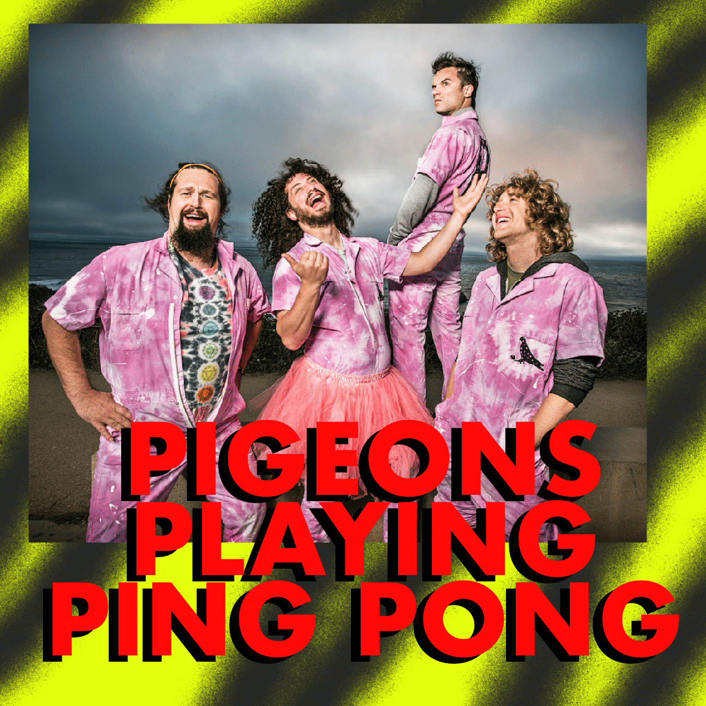 Pigeons Playing Ping Pong