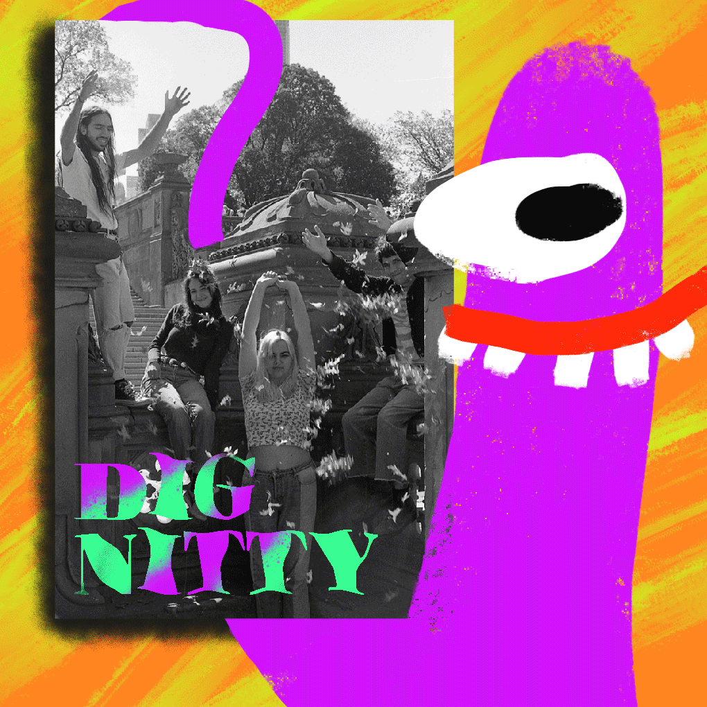 Dig Nitty