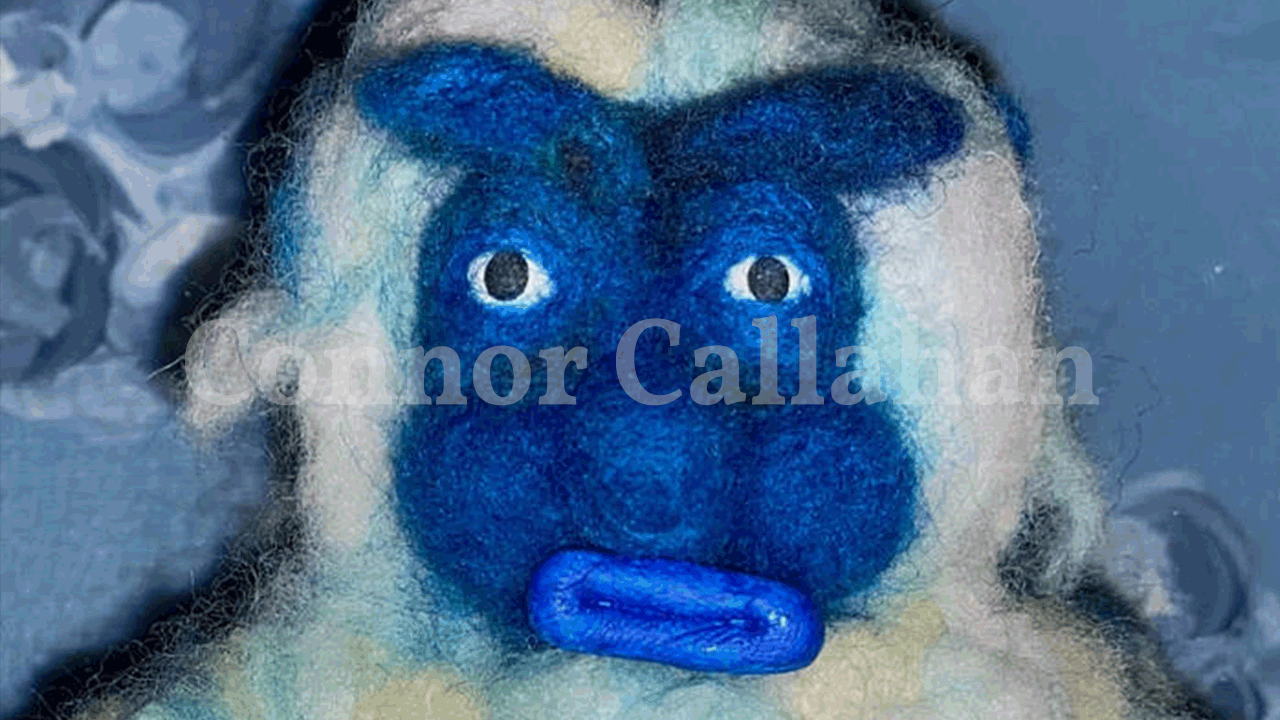 Hanging out with Connor Callahan