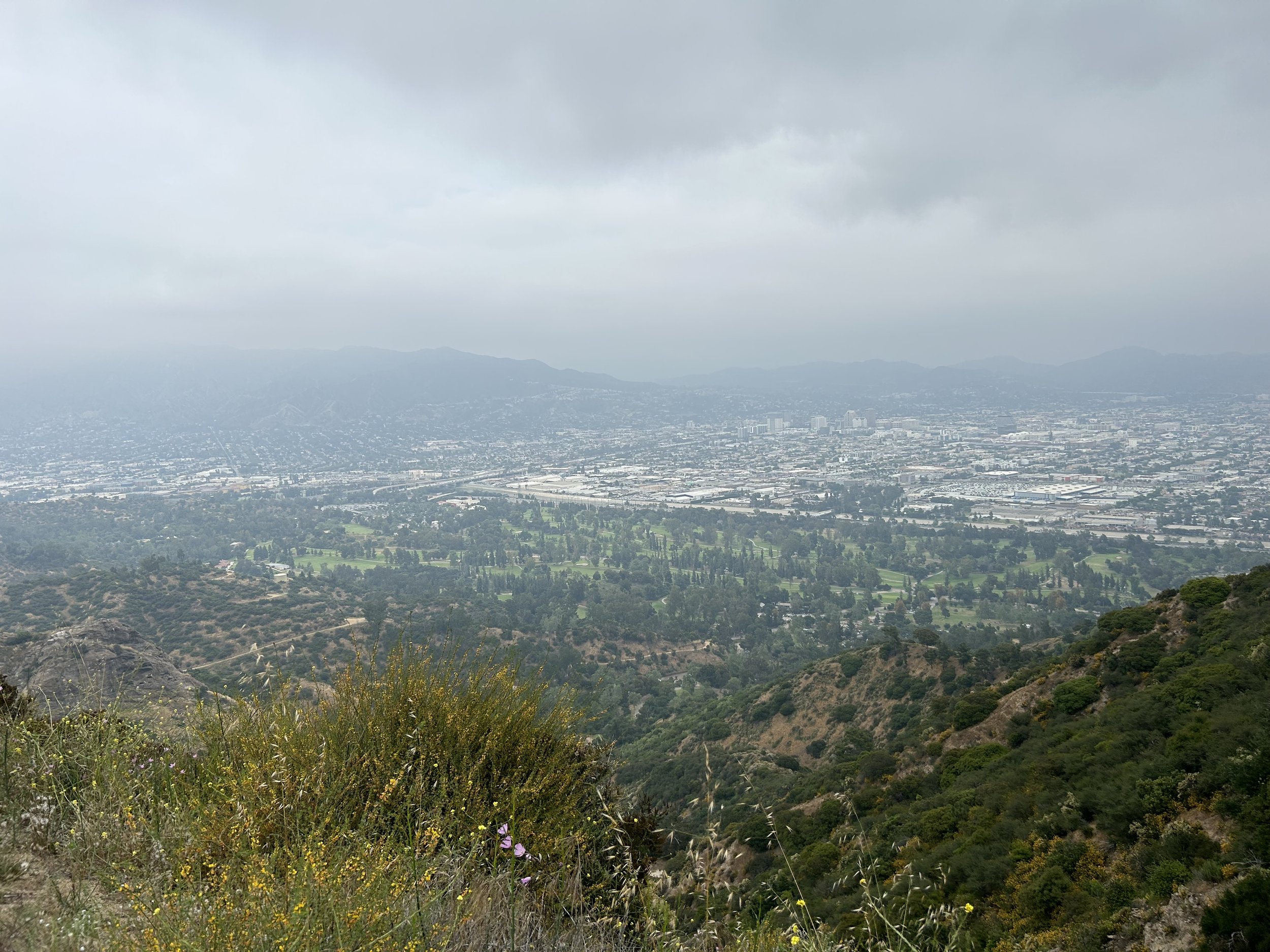 IMG_0036.jpeg